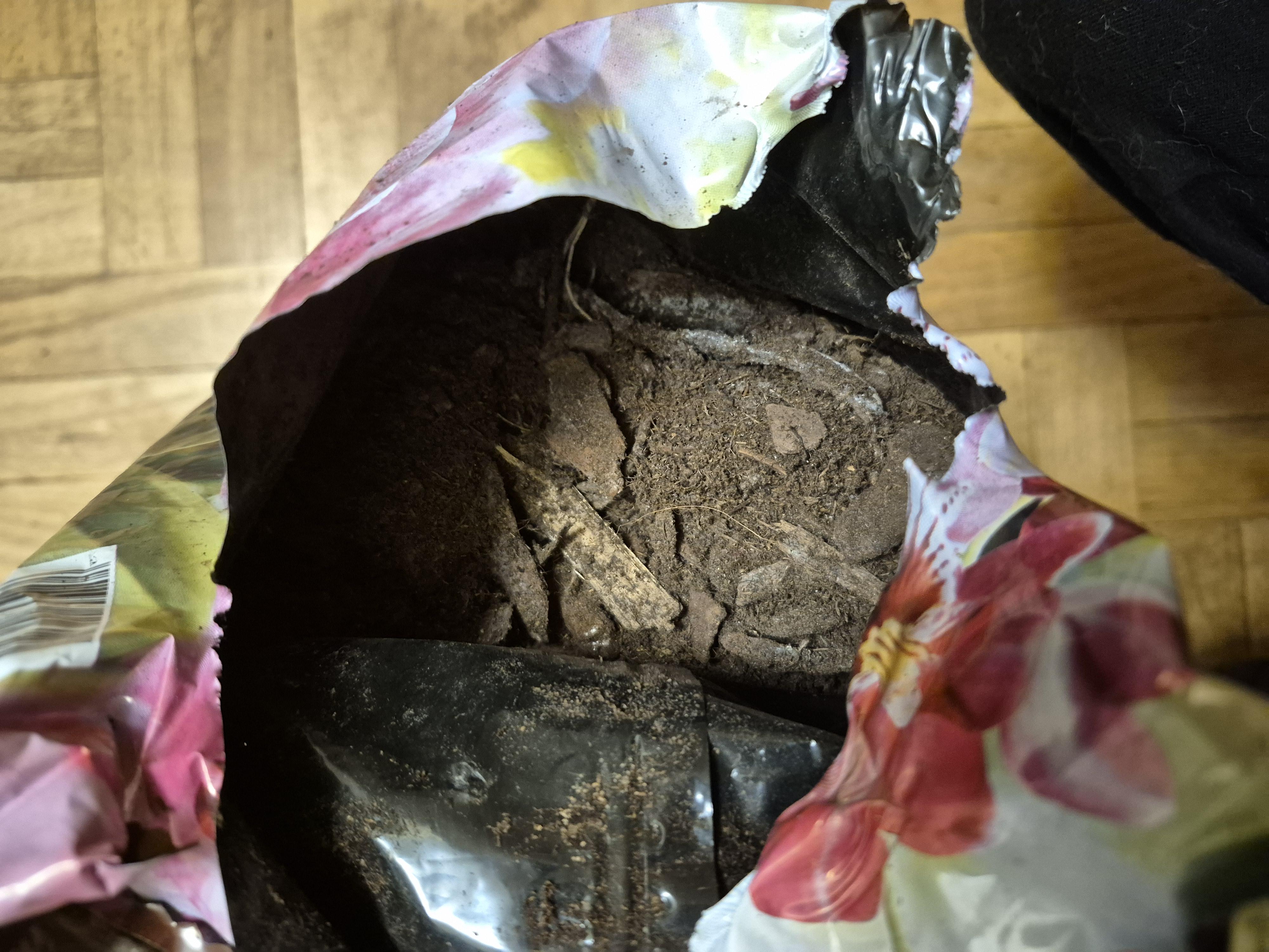 Субстрат для орхидей Compo SANA 5 л 1611 в реальных условиях использования от покупателя Данило.