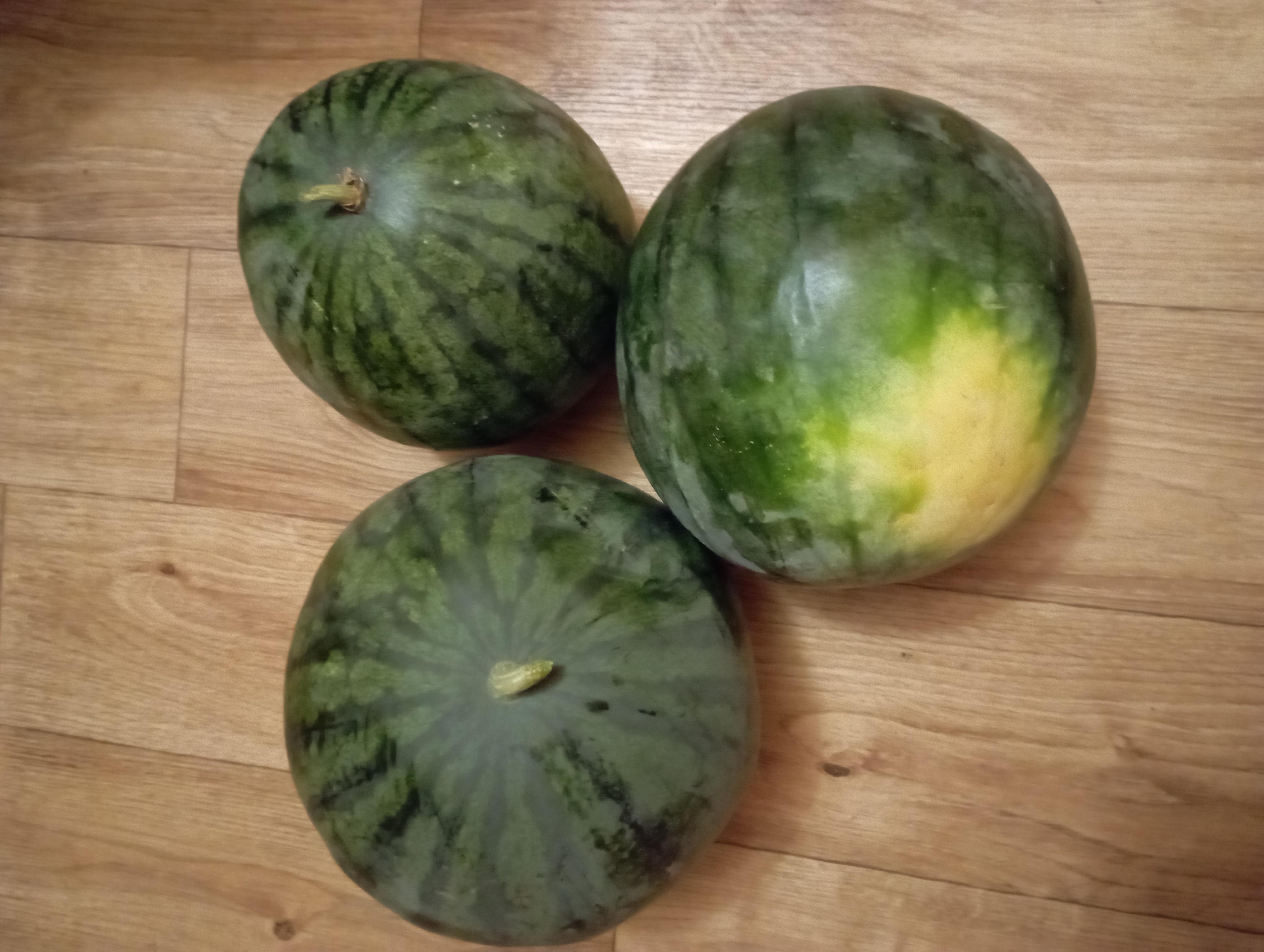 Семена SeedEra арбуз Янусик 1 г (4823073702932) в реальных условиях использования от покупателя Людмила.