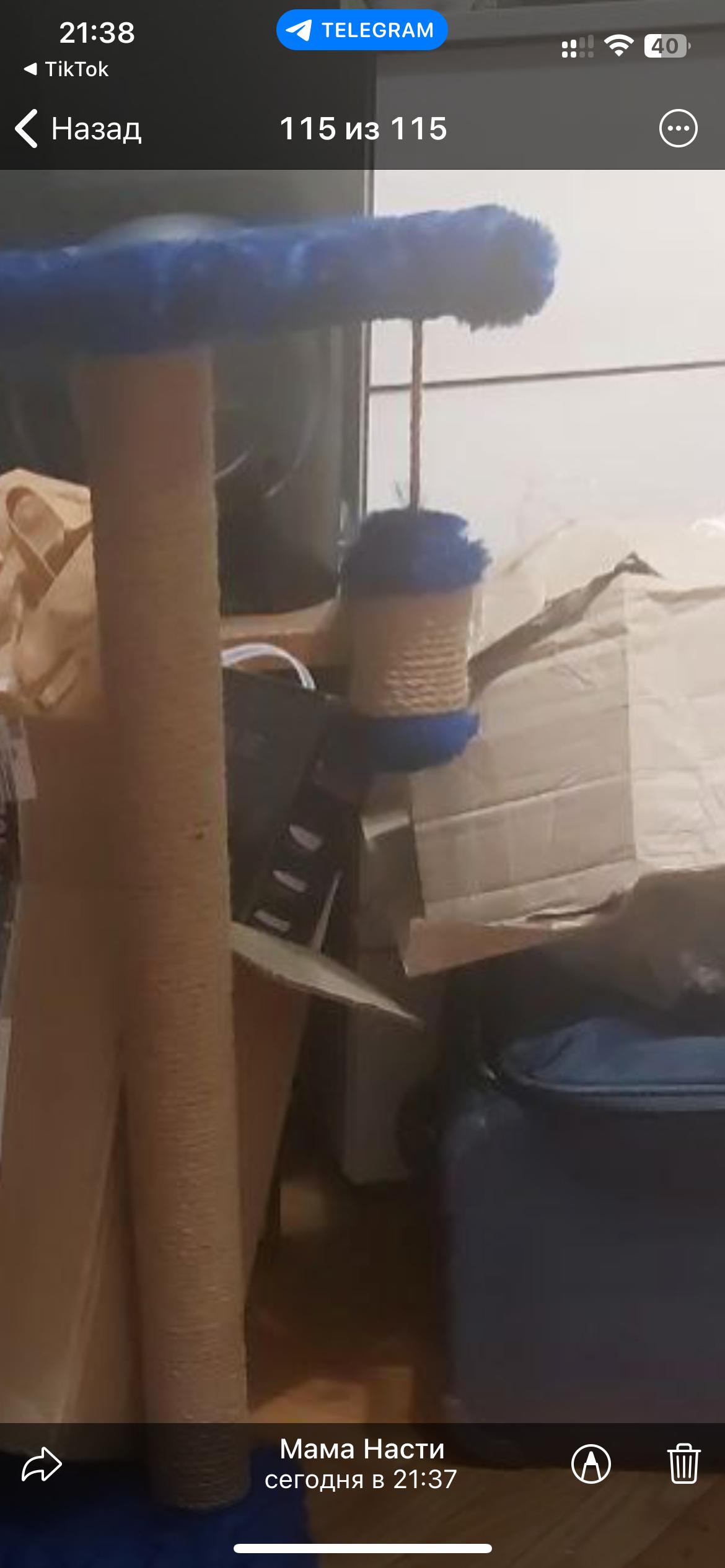 Когтеточка ФанКот Омега Синий (0018/1) в реальных условиях использования от пользователя Viktoria.