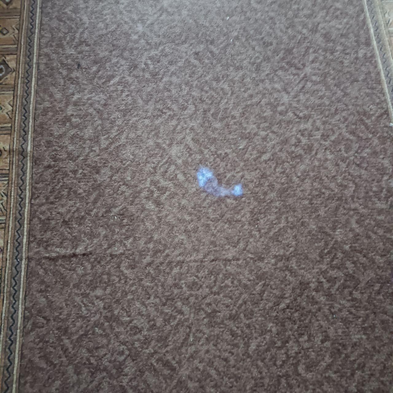 Игрушка Trixie Указка лазерная Catch the light 4130 в реальных условиях использования от пользователя Олександр.