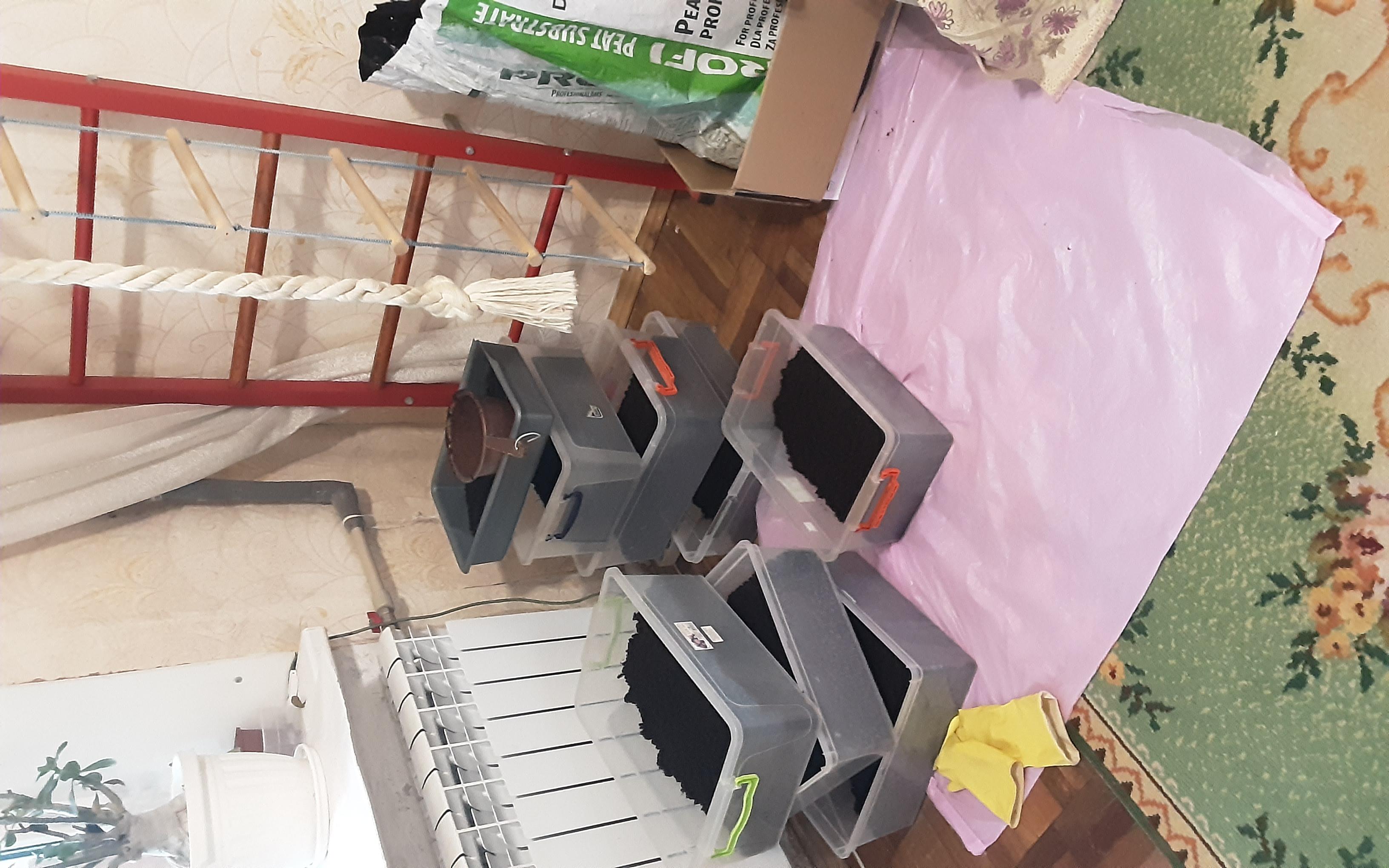 Субстрат торфяной Durpeta Профи Микс 2а универсальный 70 л в реальных условиях использования от покупателя Алла.