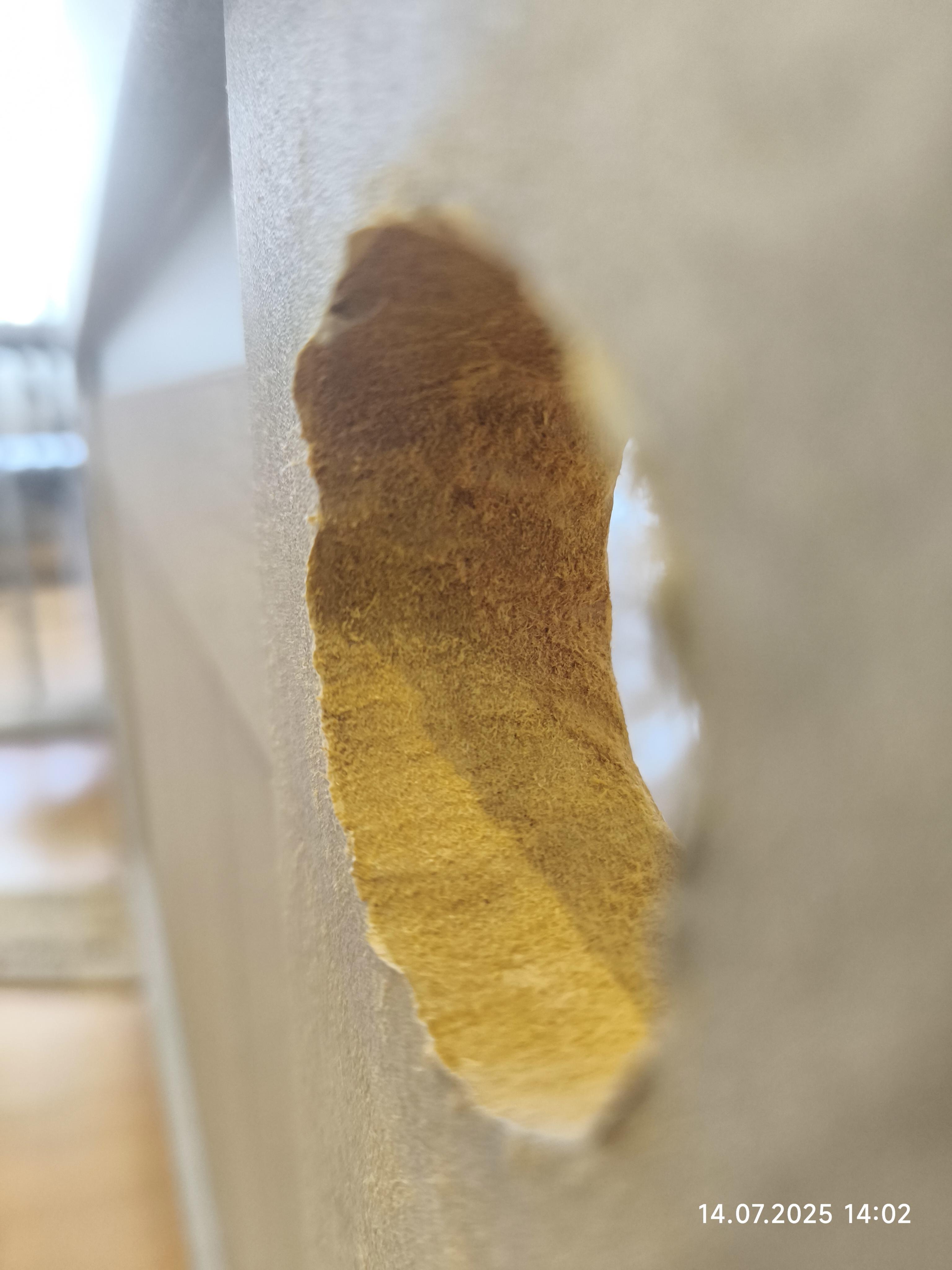 Фото: Дверное полотно ОМиС Cortex 09 ПО 800 мм дуб бианко, отправлено пользователем Роман Дверное полотно ОМиС Cortex 09 ПО 800 мм дуб бианко в реальных условиях использования от пользователя Роман.