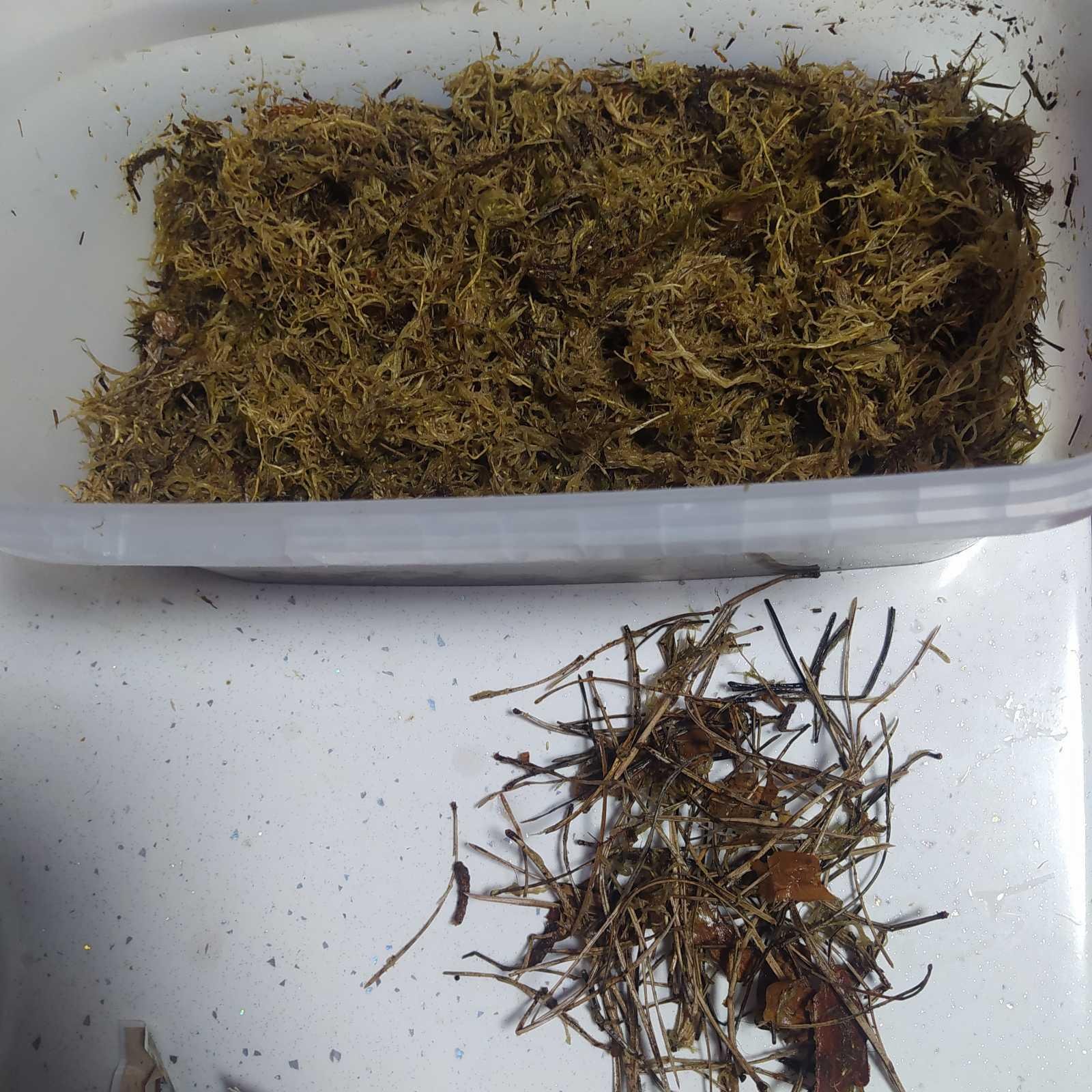 Мох сфагнум Садівник 1 л в реальных условиях использования от пользователя Тетяна.