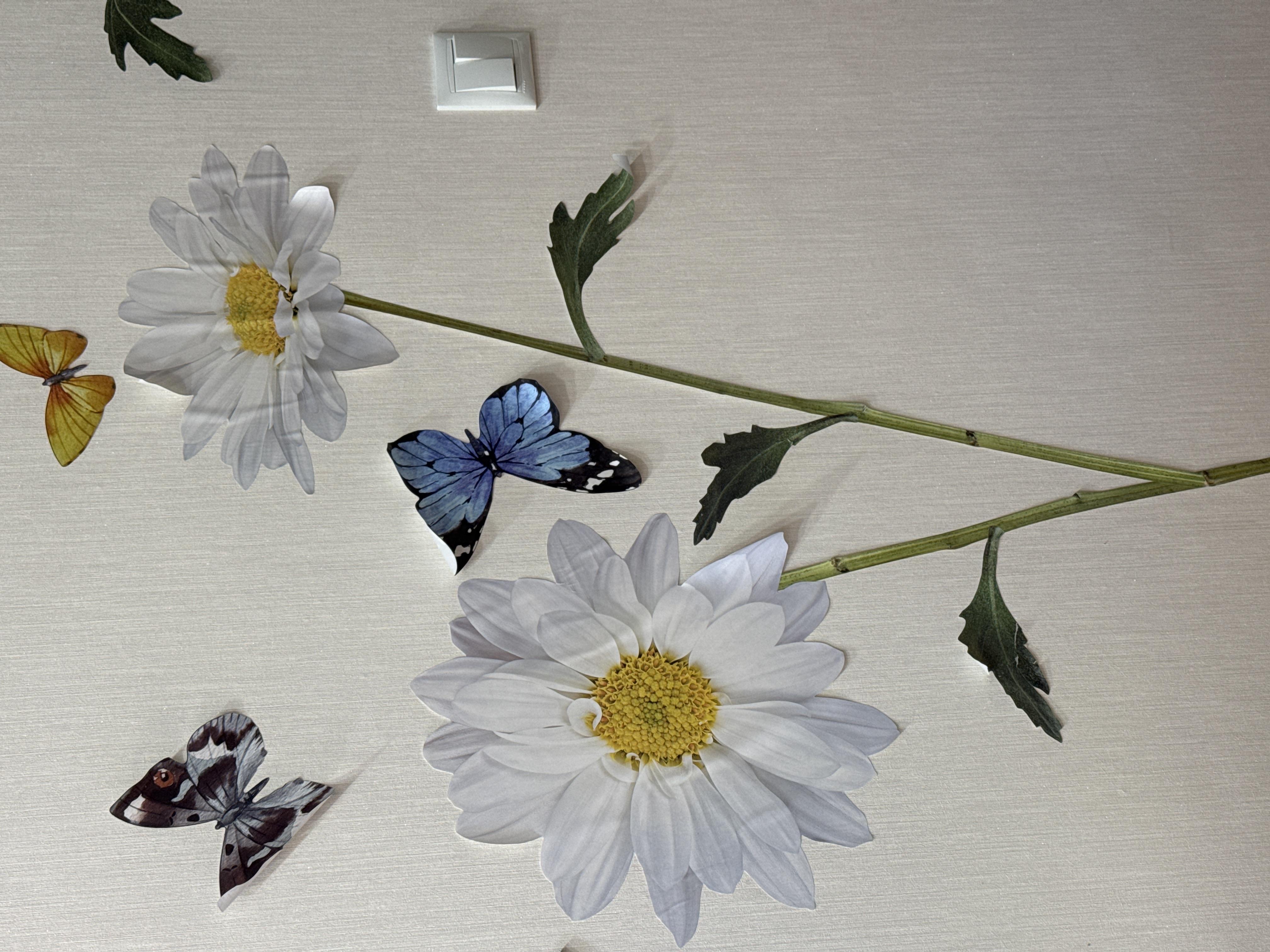 Декоративная наклейка Ромашки в реальных условиях использования от покупателя Ярослава.