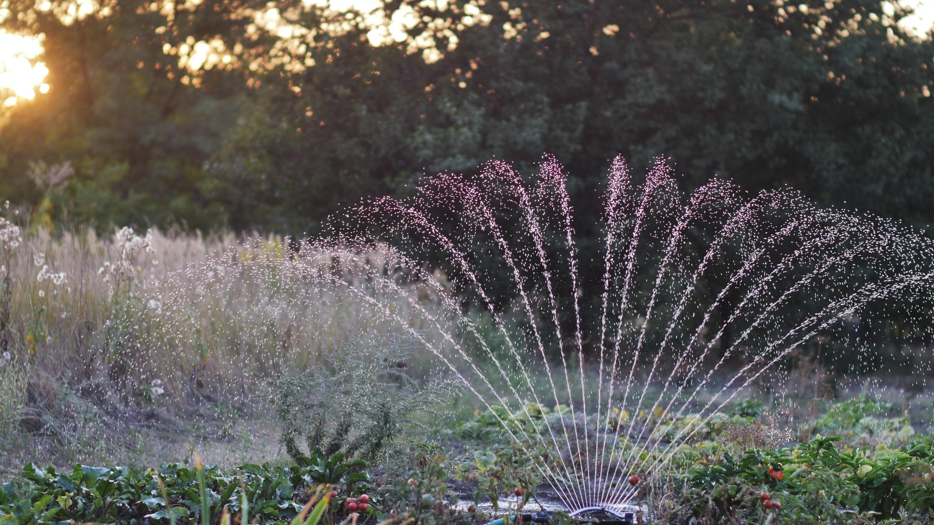 Дождеватель Presto-PS осциллирующий Bravo (7821) в реальных условиях использования от покупателя Владислав.