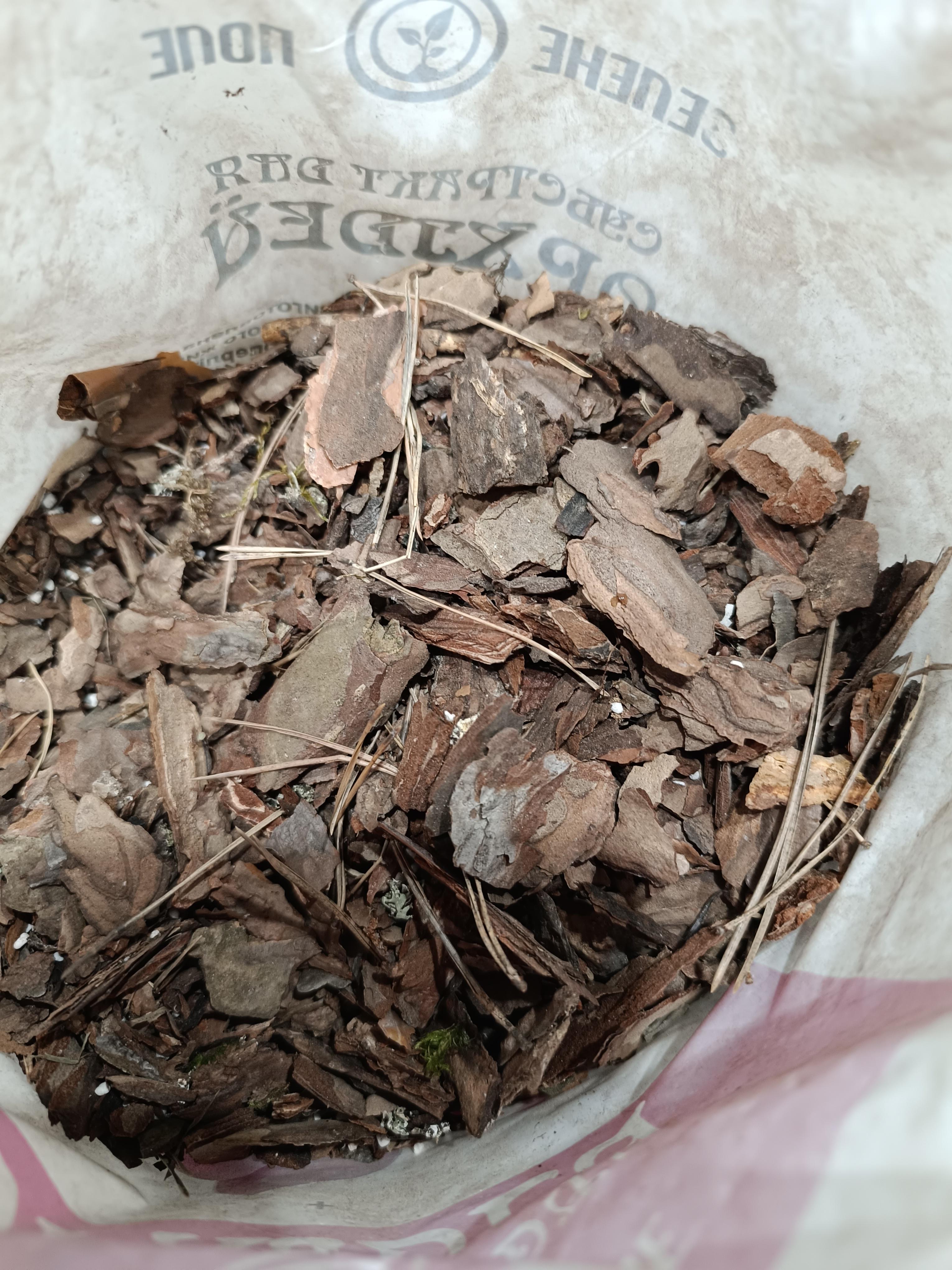 Субстрат Зелене поле для орхидей 5 л в реальных условиях использования от пользователя Катерина.