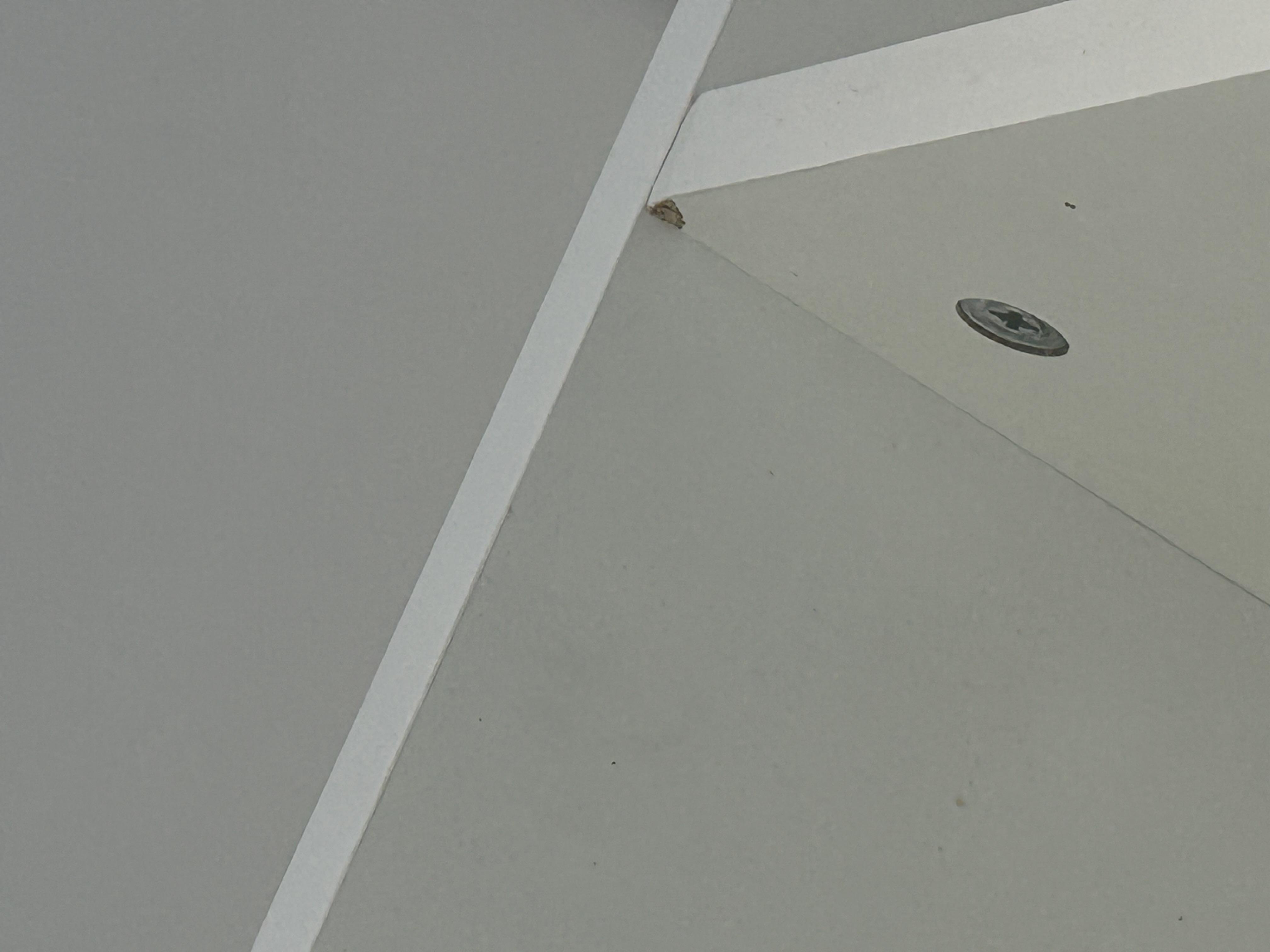 Фото: Шафа розпашна ШР7 SENAM 2400х1400х450 мм корпус Дуб Крафт Золотий фасад ДСП Антрацитовий (ШР7.24.45.14.А), надіслане покупцем Юлія Шафа розпашна ШР7 SENAM 2400х1400х450 мм корпус Дуб Крафт Золотий фасад ДСП Антрацитовий (ШР7.24.45.14.А) у реальних умовах використання від покупця Юлія.