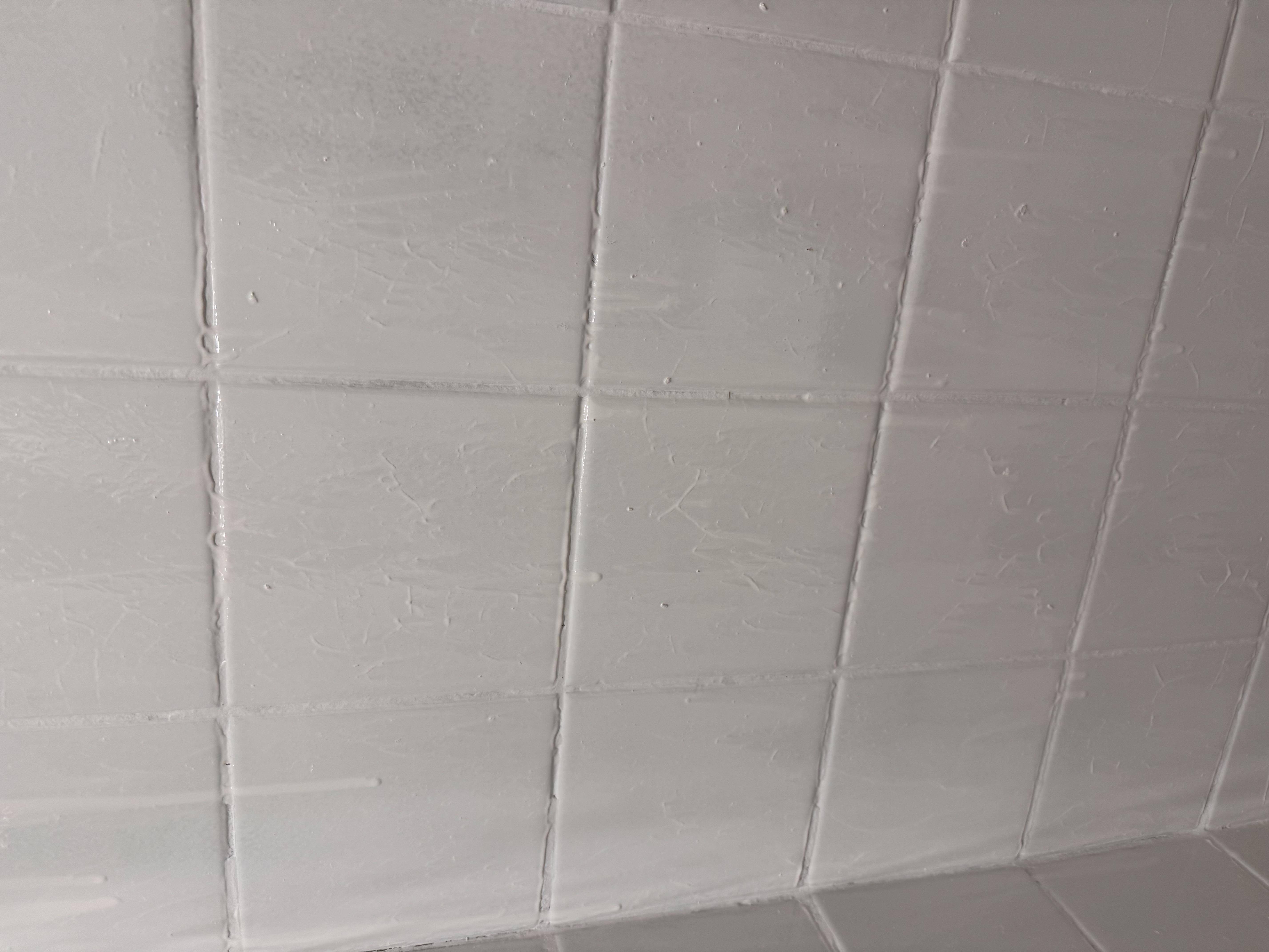 Краска эпоксидная для плитки LAVA 4,5 кг Светло-серый RAL 7040 в реальных условиях использования от пользователя Олена.