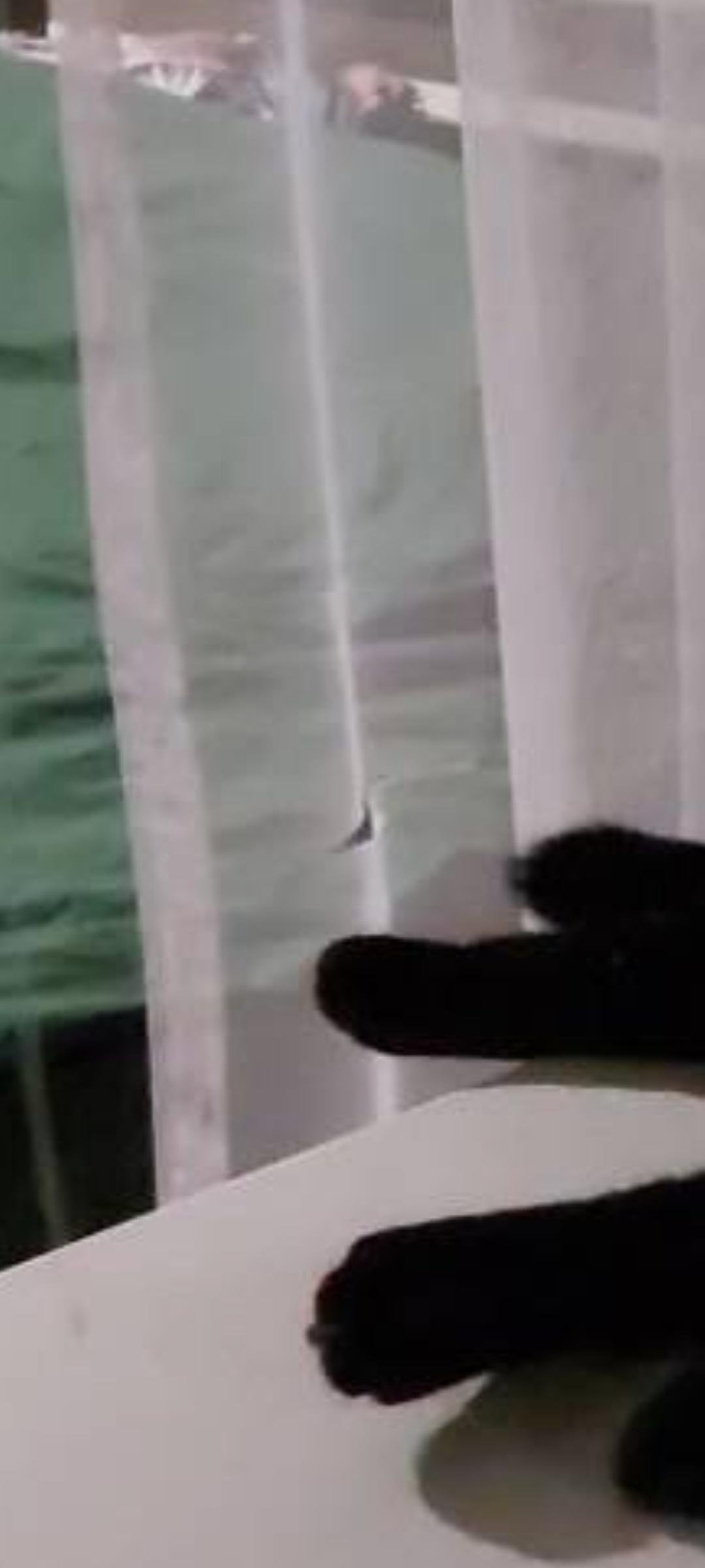 Тюль Грек сітка на тасьмі з утяжувачем 300х250 см Білий у реальних умовах використання від покупця Лілія.