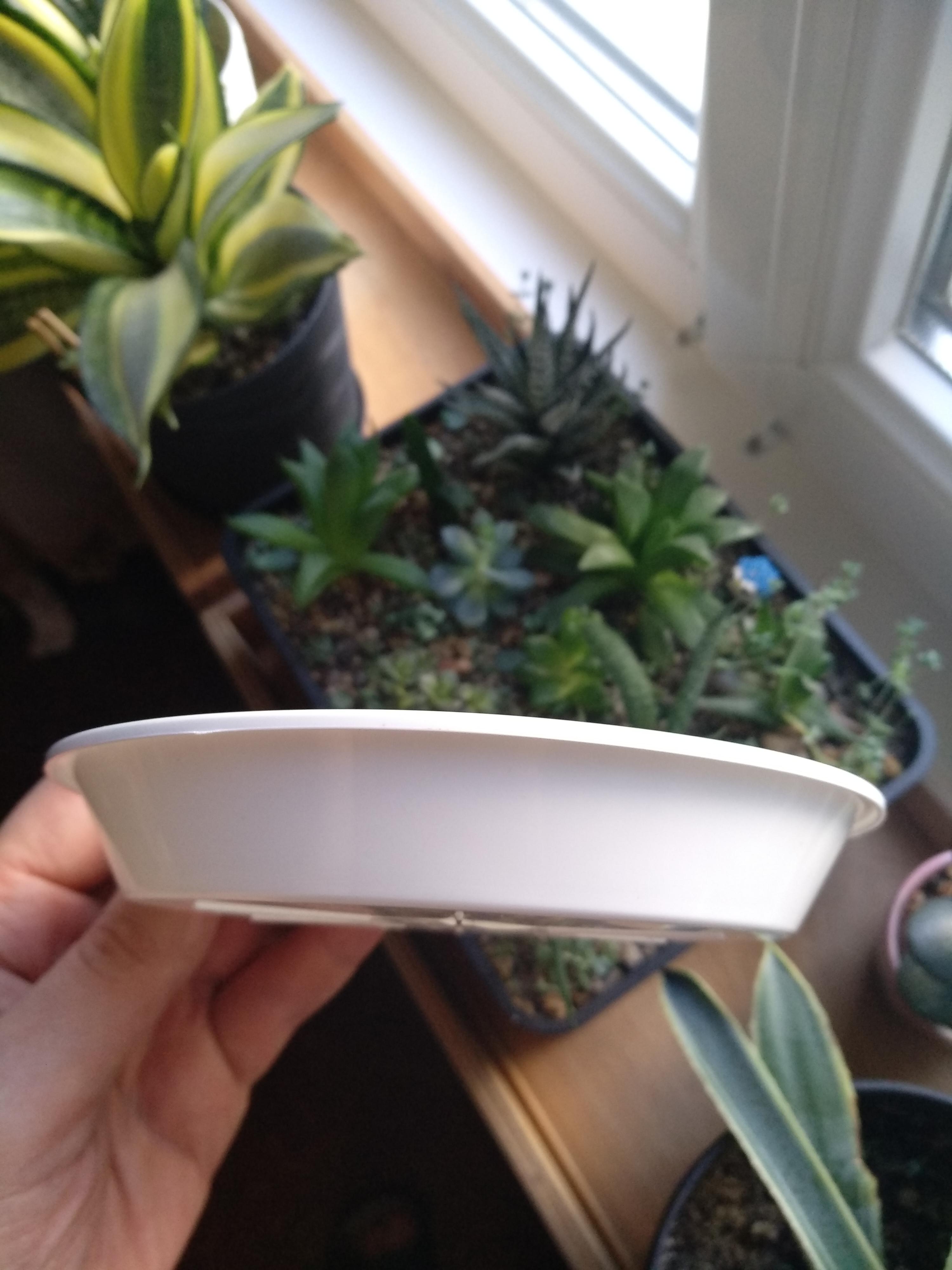 Піддон теракотовий пластик теракотовий 16 см (P16/1) Тарлев у реальних умовах використання від покупця Андрей.