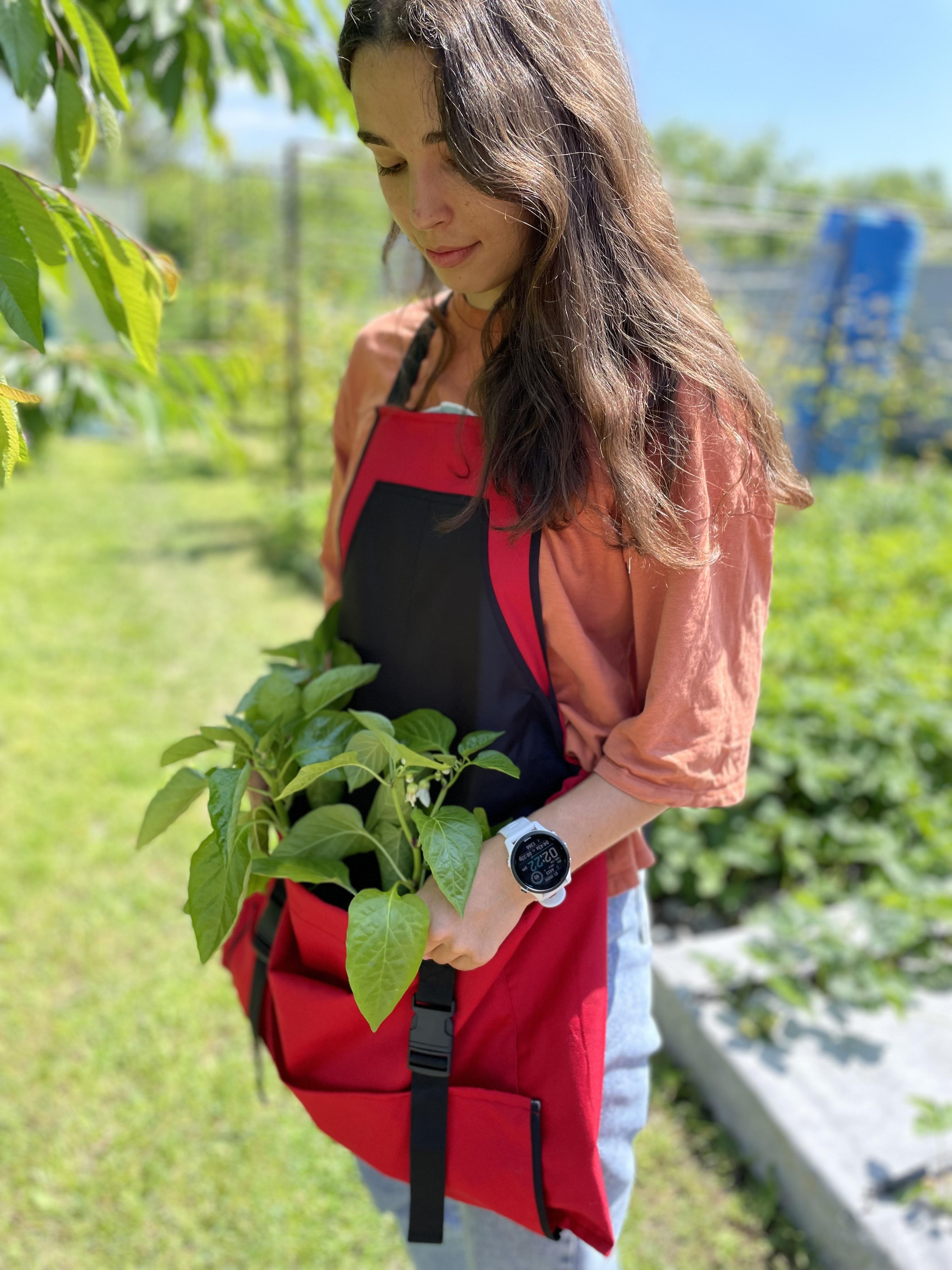 Фото: Фартух садовий Vesela Torba Сірий (24679510), надіслане користувачем Світлана Фартух садовий Vesela Torba Сірий (24679510) у реальних умовах використання від користувача Світлана.