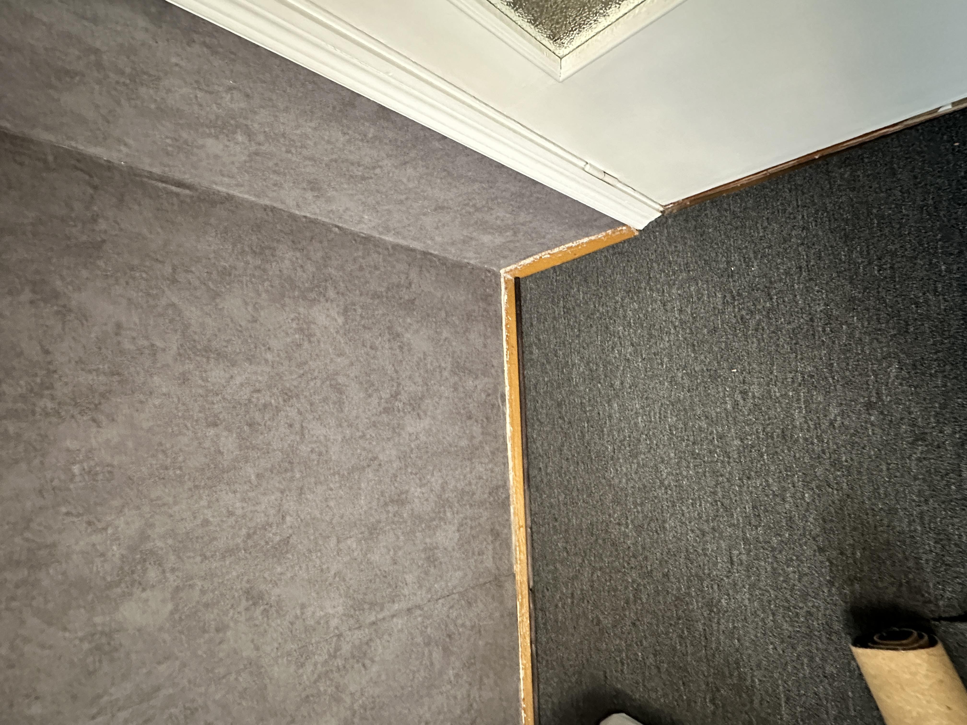 Ковролин ERDEMOGLU BABIL-НIROR 33 4 м в реальных условиях использования от покупателя Катерина.