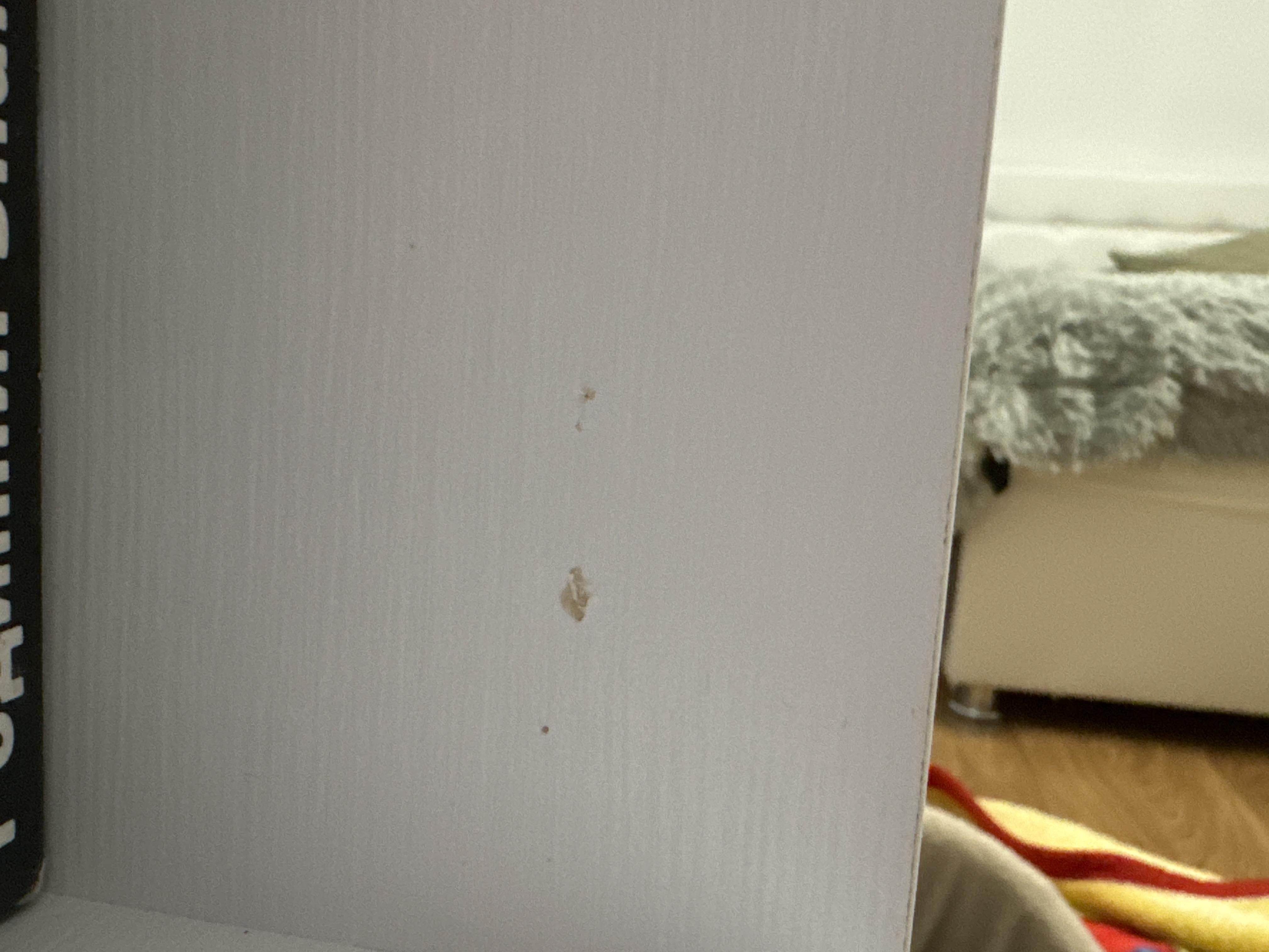 Фото: Комод для спальні з висувними шухлядами Компаніт 4-2 130х47х110 см Бук (9669052), надіслане користувачем Олександра Комод для спальні з висувними шухлядами Компаніт 4-2 130х47х110 см Бук (9669052) у реальних умовах використання від користувача Олександра.