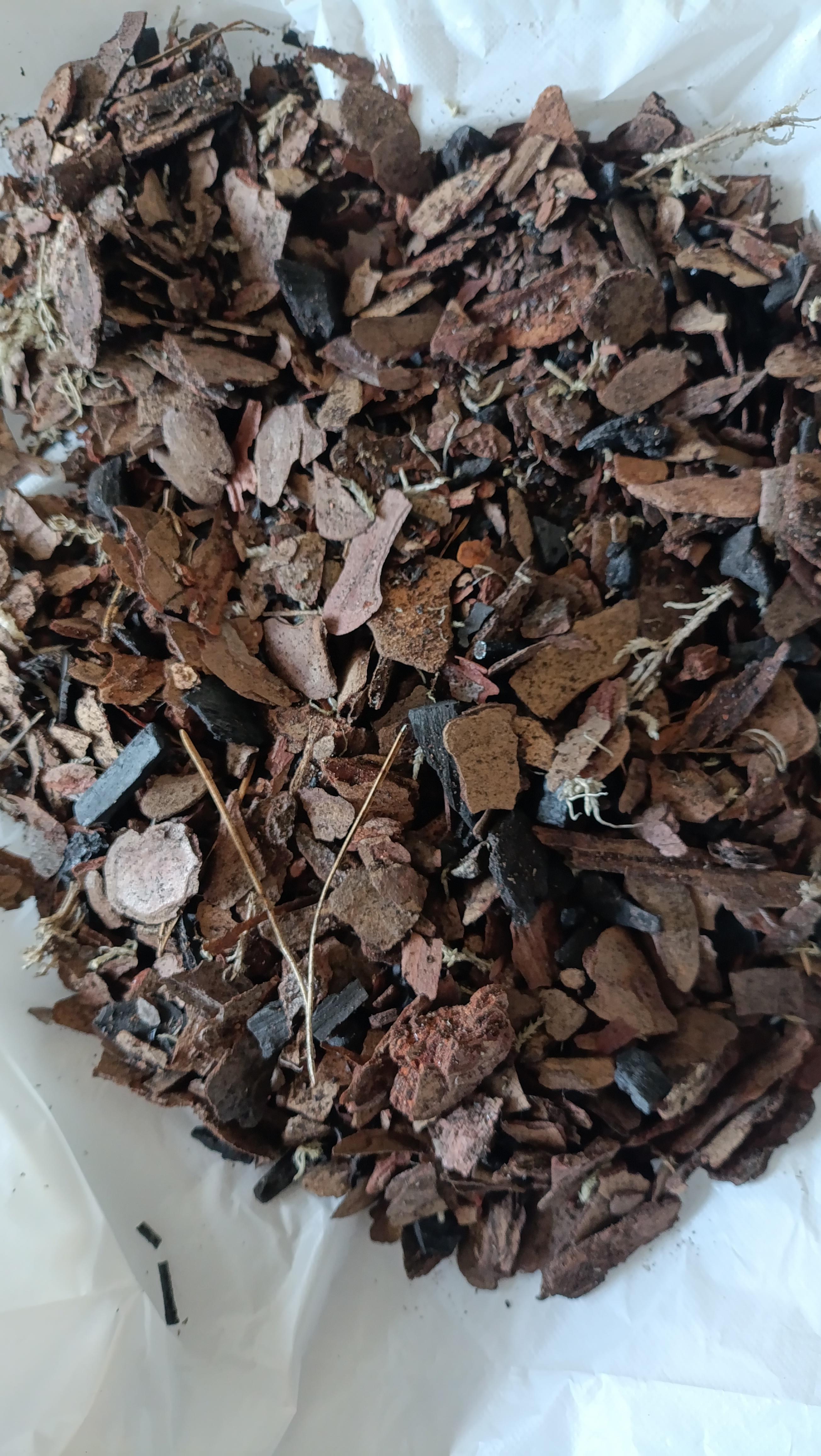 Субстрат Elsa для орхидей 1,5 л в реальных условиях использования от покупателя Алекс.