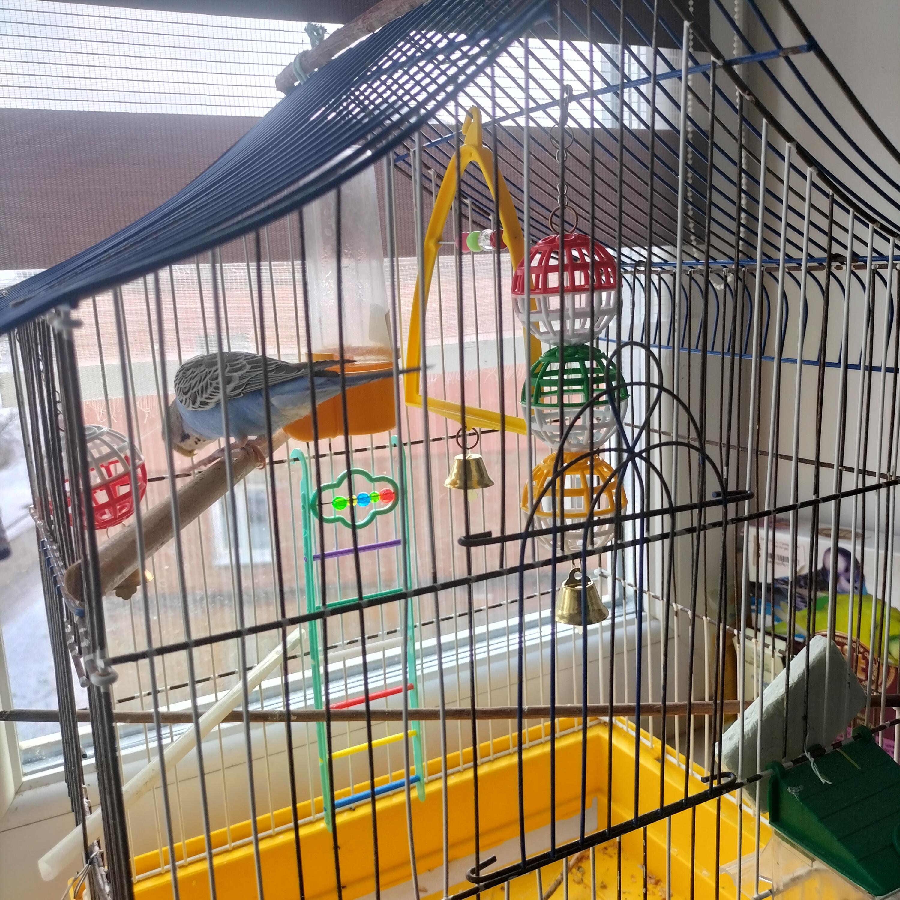 Качели Природа с колокольчиком 17х11,5 см в реальных условиях использования от пользователя Надія.