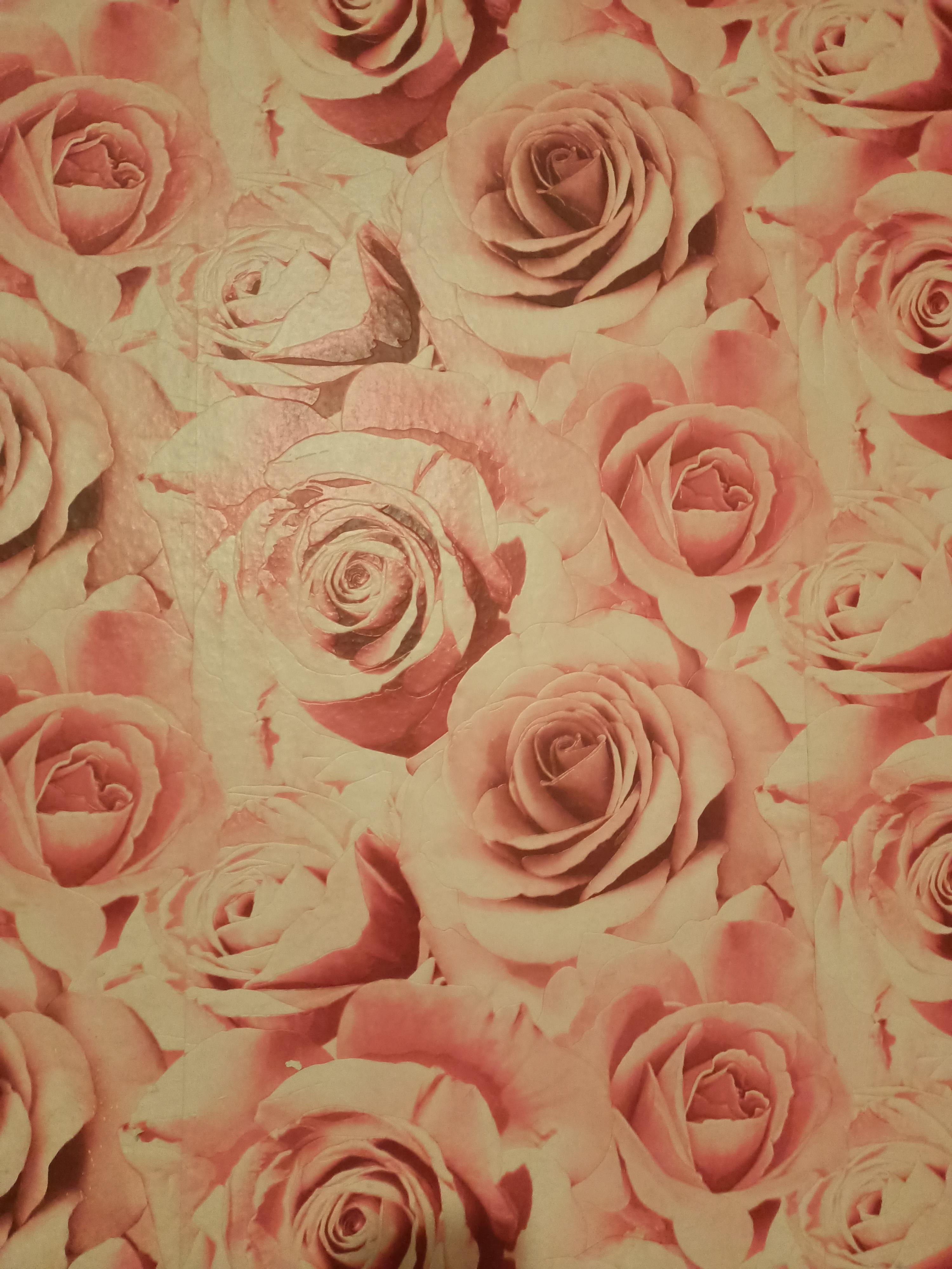 Фото: Шпалери вінілові на паперовій основі Ексклюзив Люкс супер-мойка на паперовій основі 0,53х10,05 м (870-08), надіслане користувачем Марія Шпалери вінілові на паперовій основі Ексклюзив Люкс супер-мойка на паперовій основі 0,53х10,05 м (870-08) у реальних умовах використання від користувача Марія.