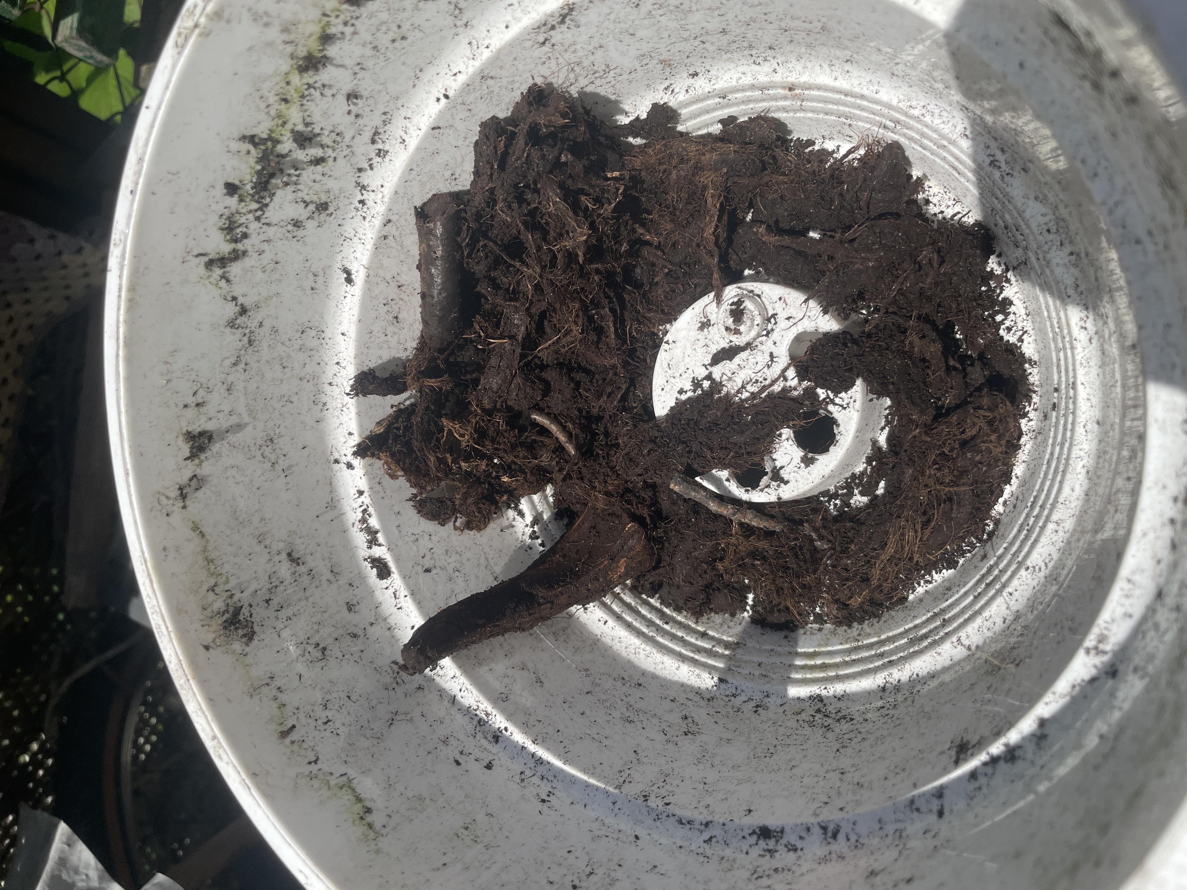 Ґрунтосуміш PLANTAGROW Універсальна 5 л у реальних умовах використання від користувача Михайло.