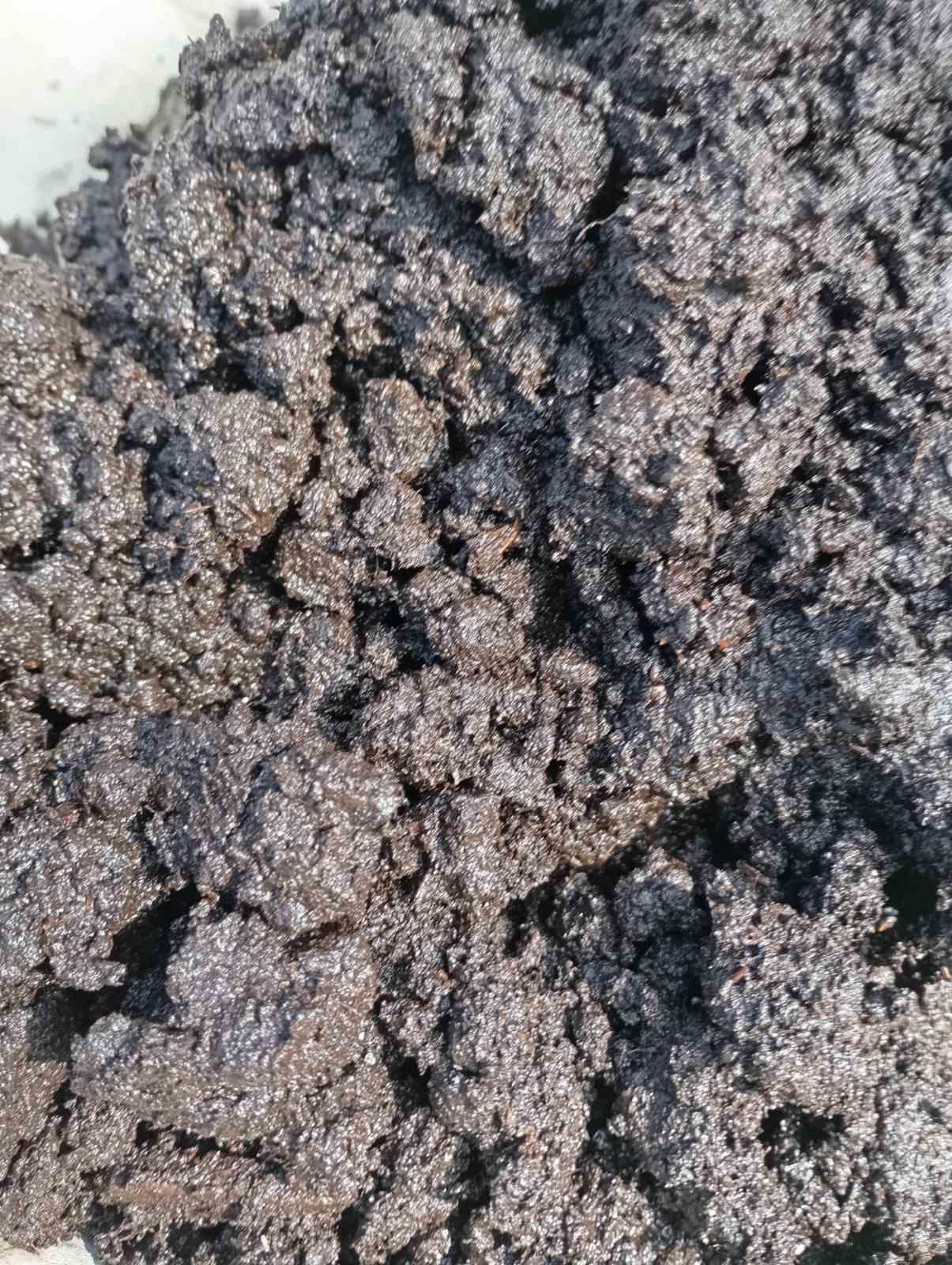 Субстрат Eco Plus универсальный 10 л в реальных условиях использования от покупателя дмитро.