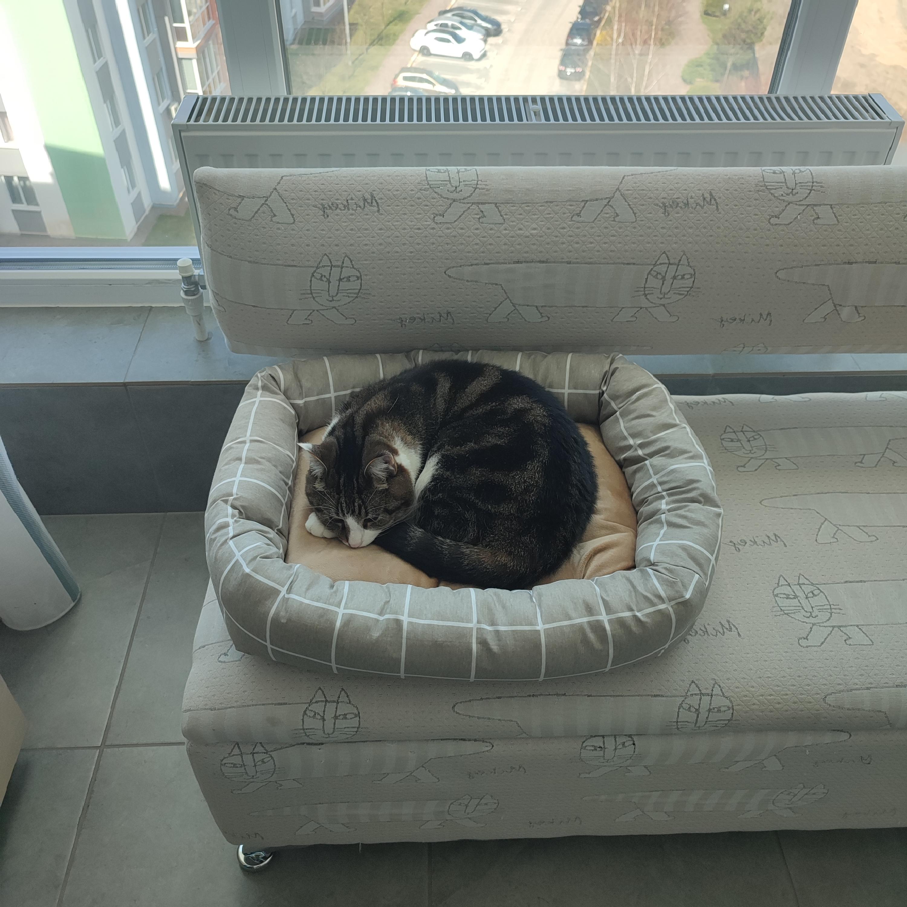 Лежак Природа Buddy для котів та собак 50х40х12 см (PR243069) у реальних умовах використання від користувача Марина.