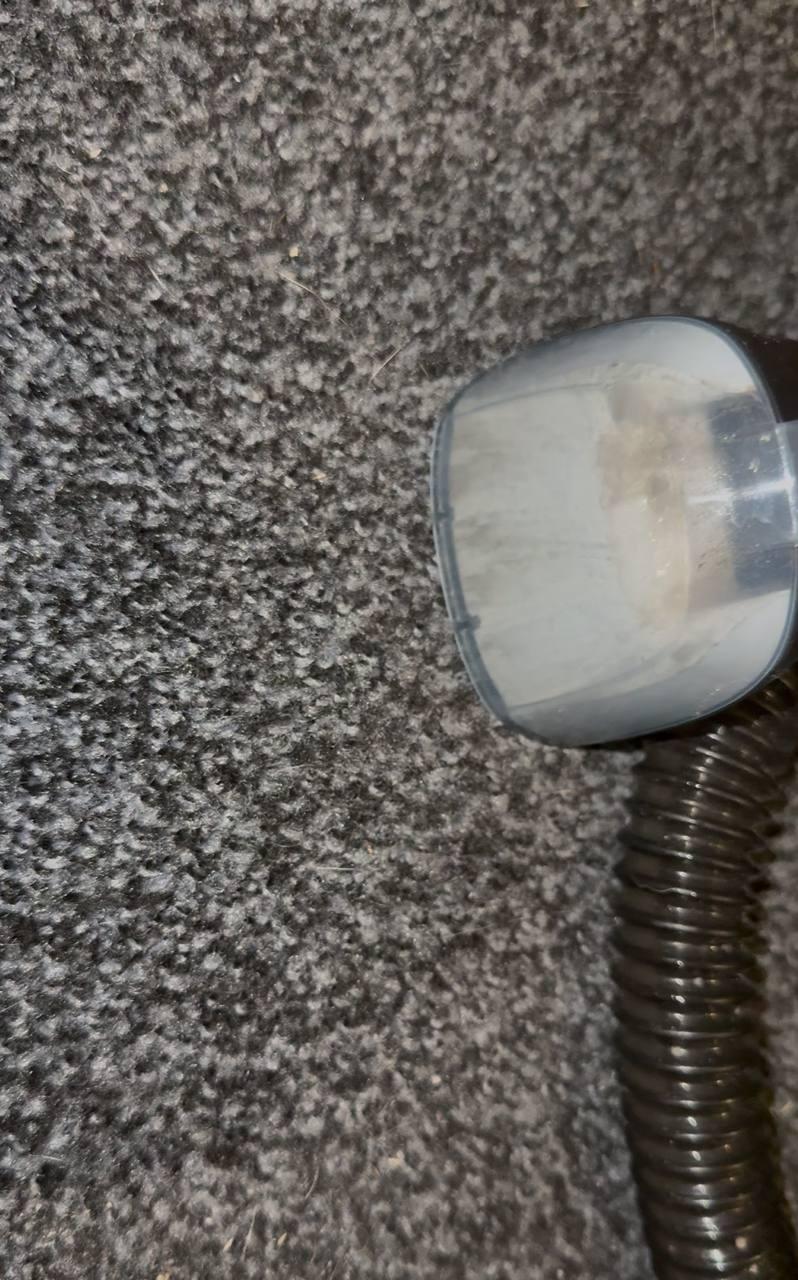 Фото: Моющий пылесос-пятновыводитель Rowenta Clean It IN5011F0 black, отправлено пользователем Яна Лесик Моющий пылесос-пятновыводитель Rowenta Clean It IN5011F0 black в реальных условиях использования от пользователя Яна Лесик.