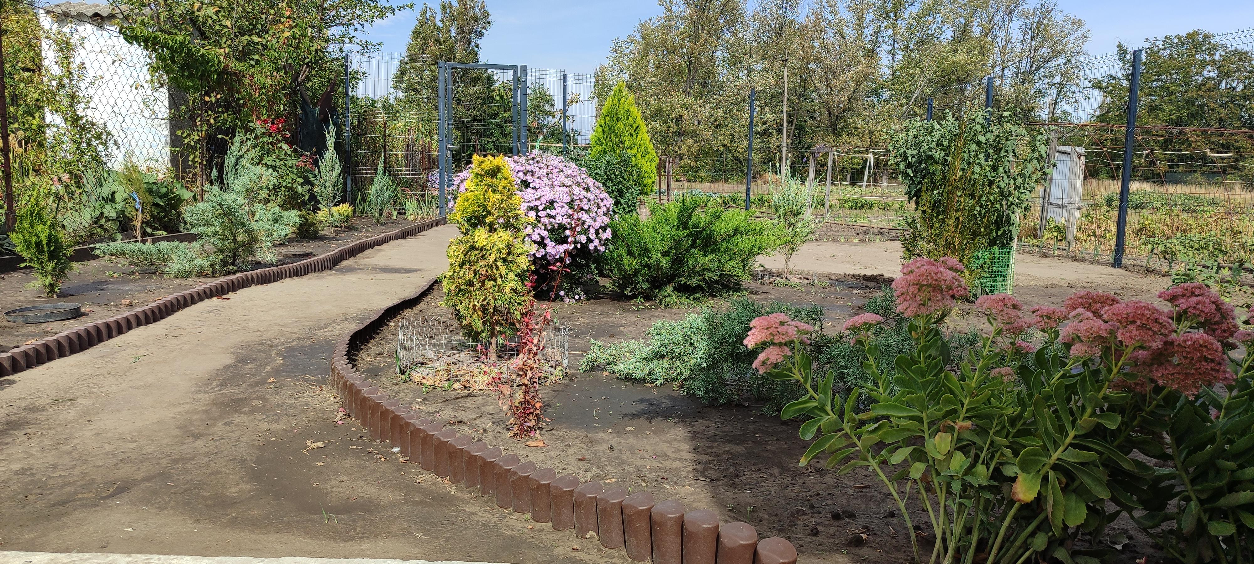 Забор декоративный Prosperplast Palisada 2500/228 мм коричневый в реальных условиях использования от покупателя Аліна.