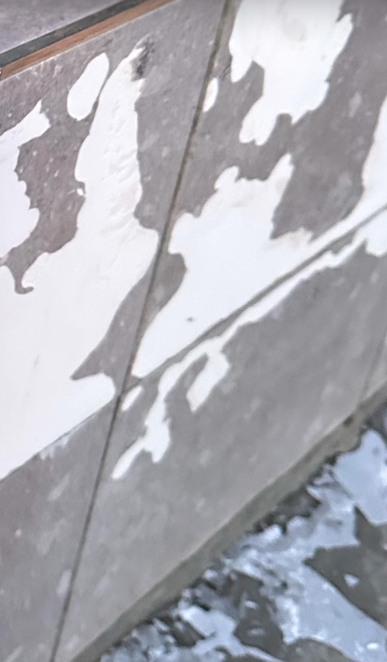 Плитка Golden Tile Pavimento grey 672830 40x40 см в реальных условиях использования от пользователя Олег.