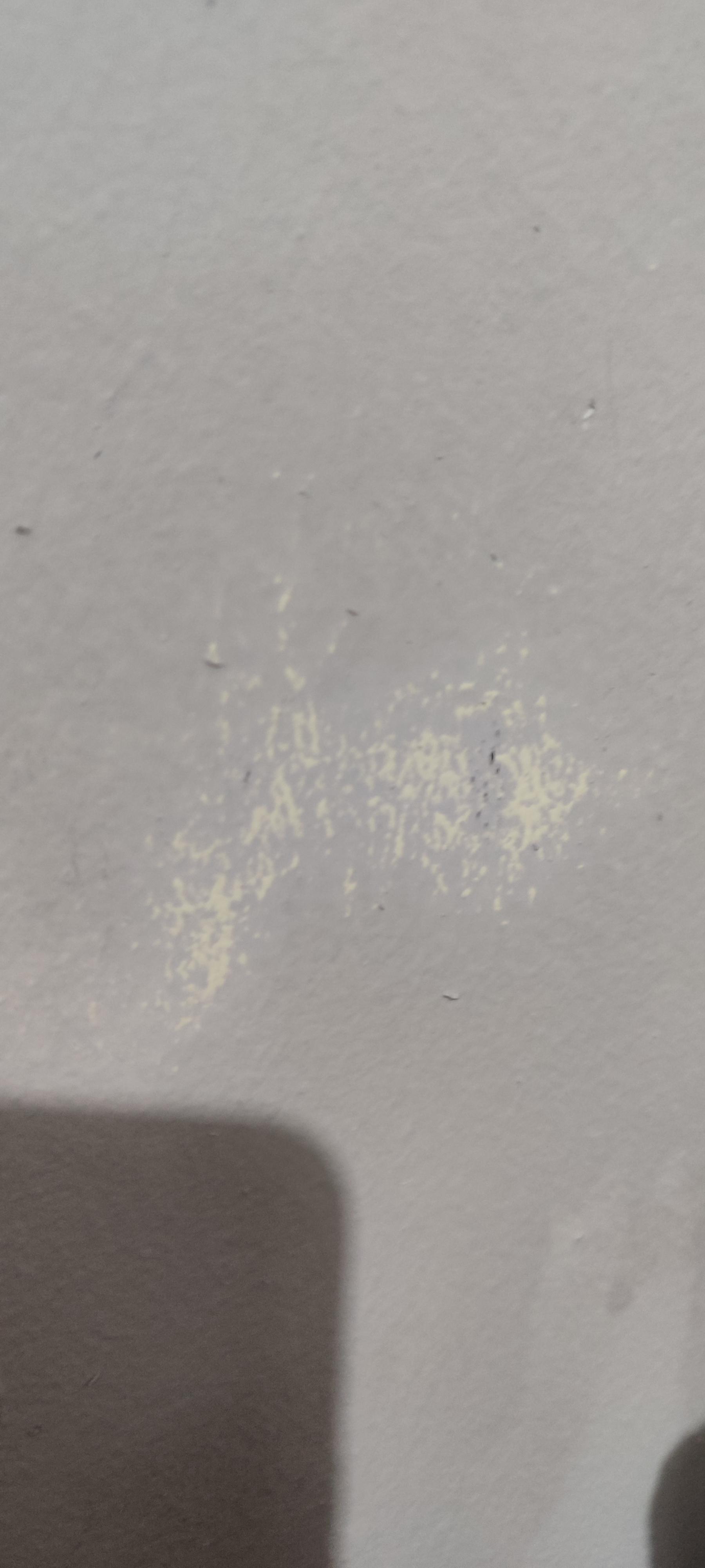 Краска латексная Feidal Latex Optimal мат белый 5 л в реальных условиях использования от пользователя Михайло.