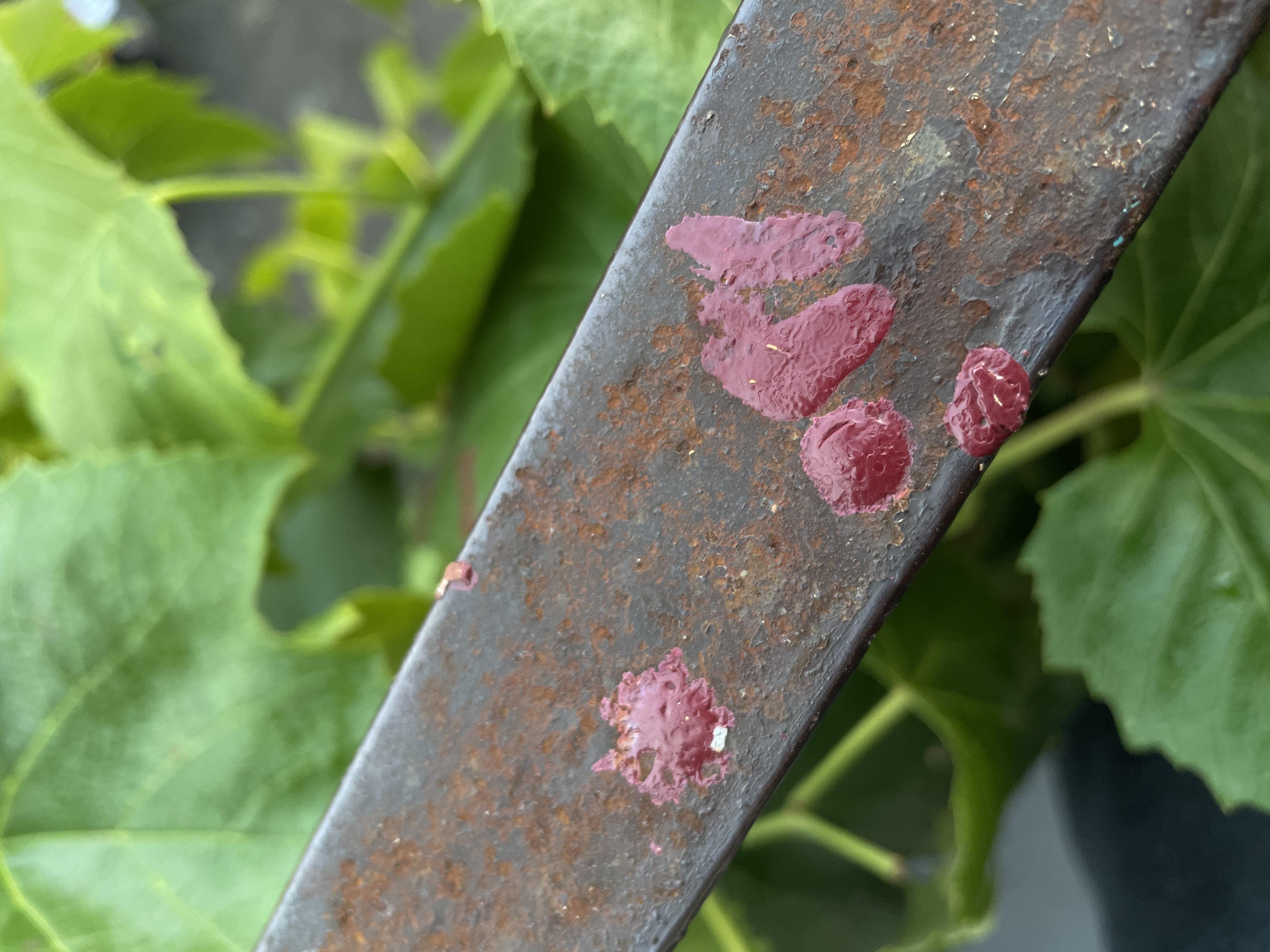 Емаль-грунт ZEBRA PROF 011P білий мат 2,5 кг у реальних умовах використання від користувача Уляна.