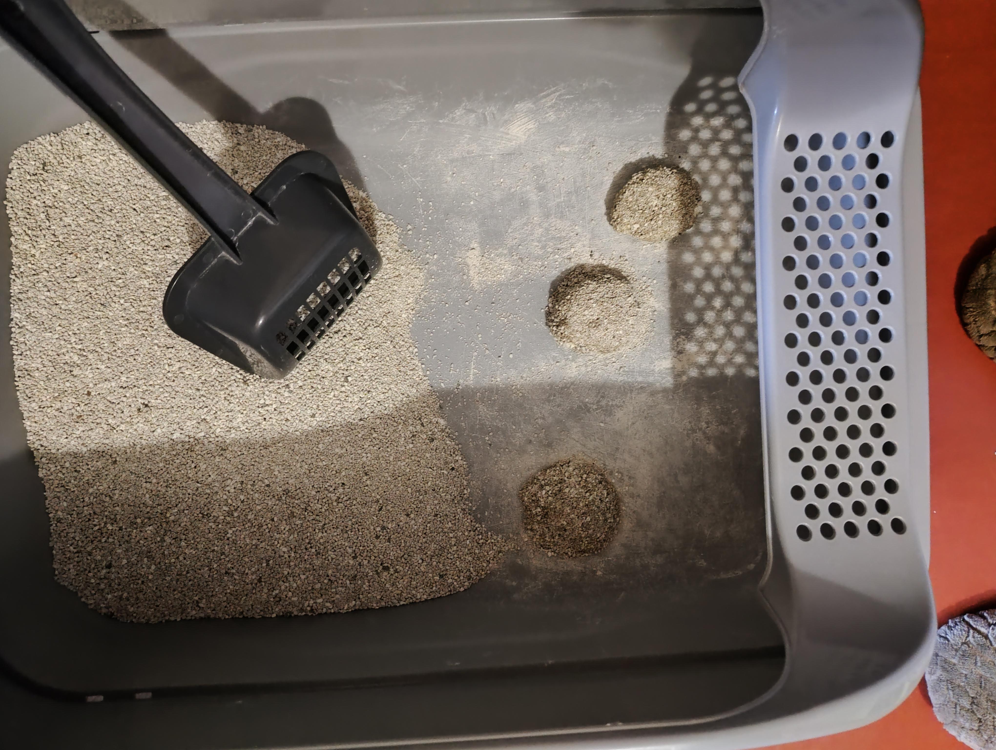 Наполнитель бентонитовый Ро Кет Классик 5 л в реальных условиях использования от покупателя Нина Пасичная.