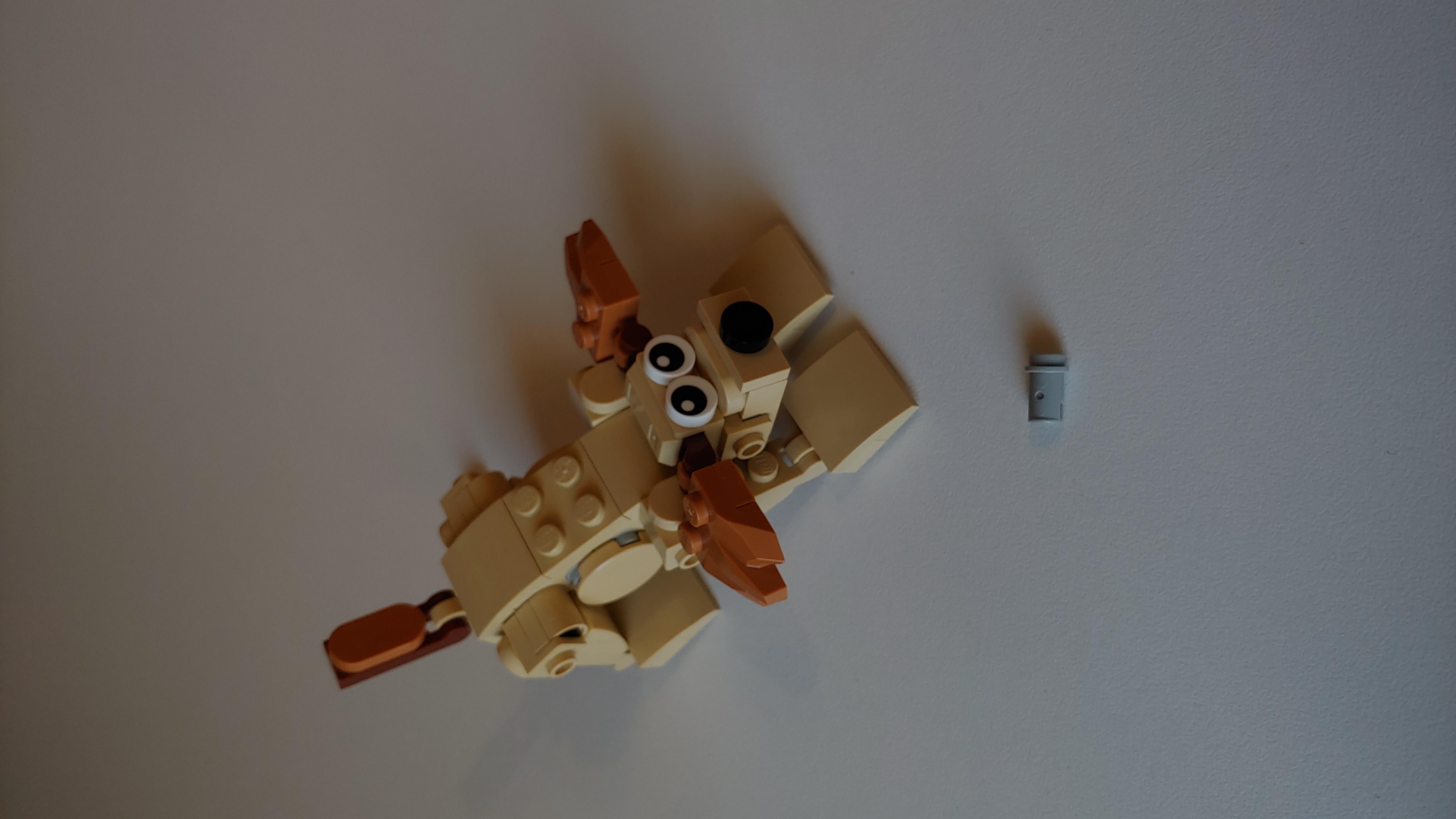 Фото: Конструктор LEGO Creator Подарочные животные 30666, отправлено пользователем Олександр Конструктор LEGO Creator Подарочные животные 30666 в реальных условиях использования от пользователя Олександр.