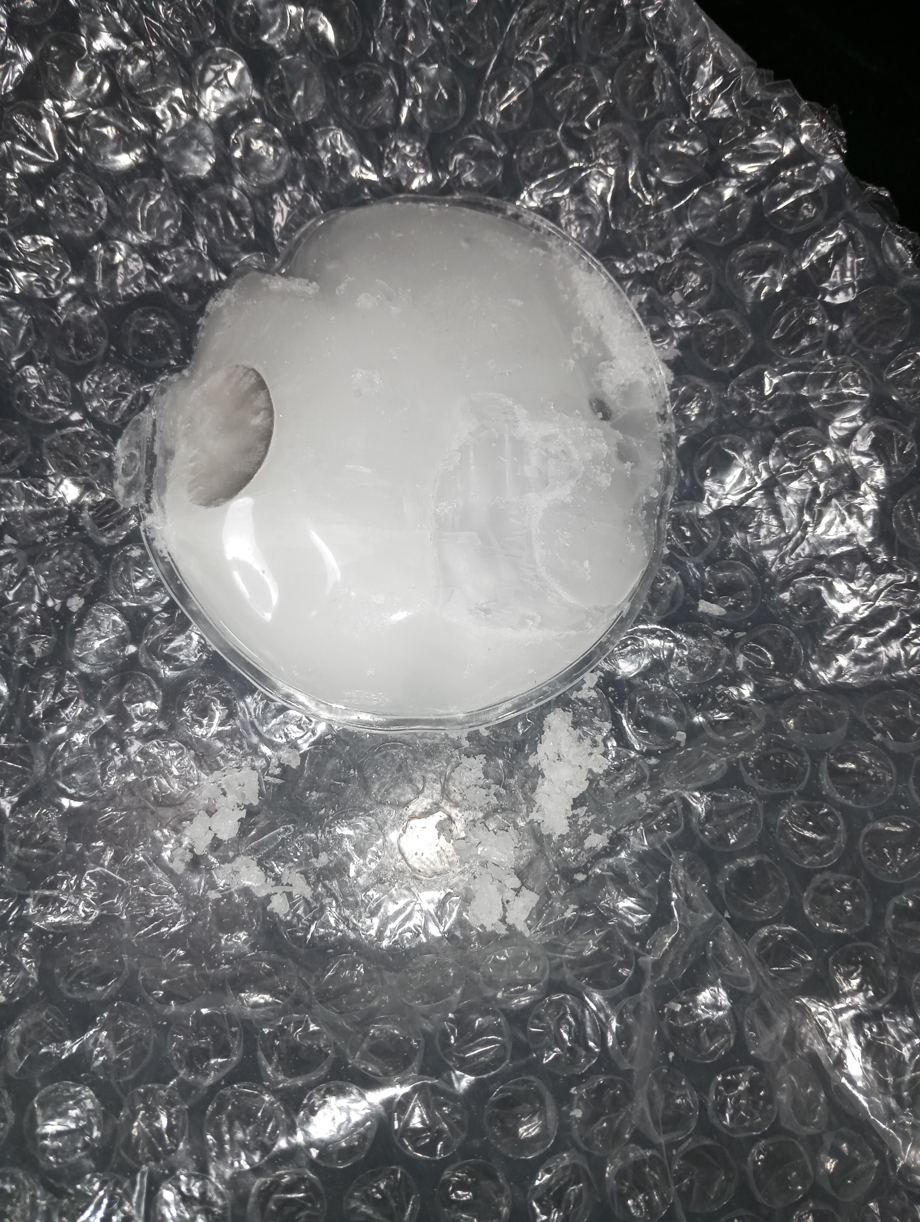 Фото: Грелки для рук Warm Baby Pink 54124 многоразовые, отправлено покупателем Анна Грелки для рук Warm Baby Pink 54124 многоразовые в реальных условиях использования от покупателя Анна.