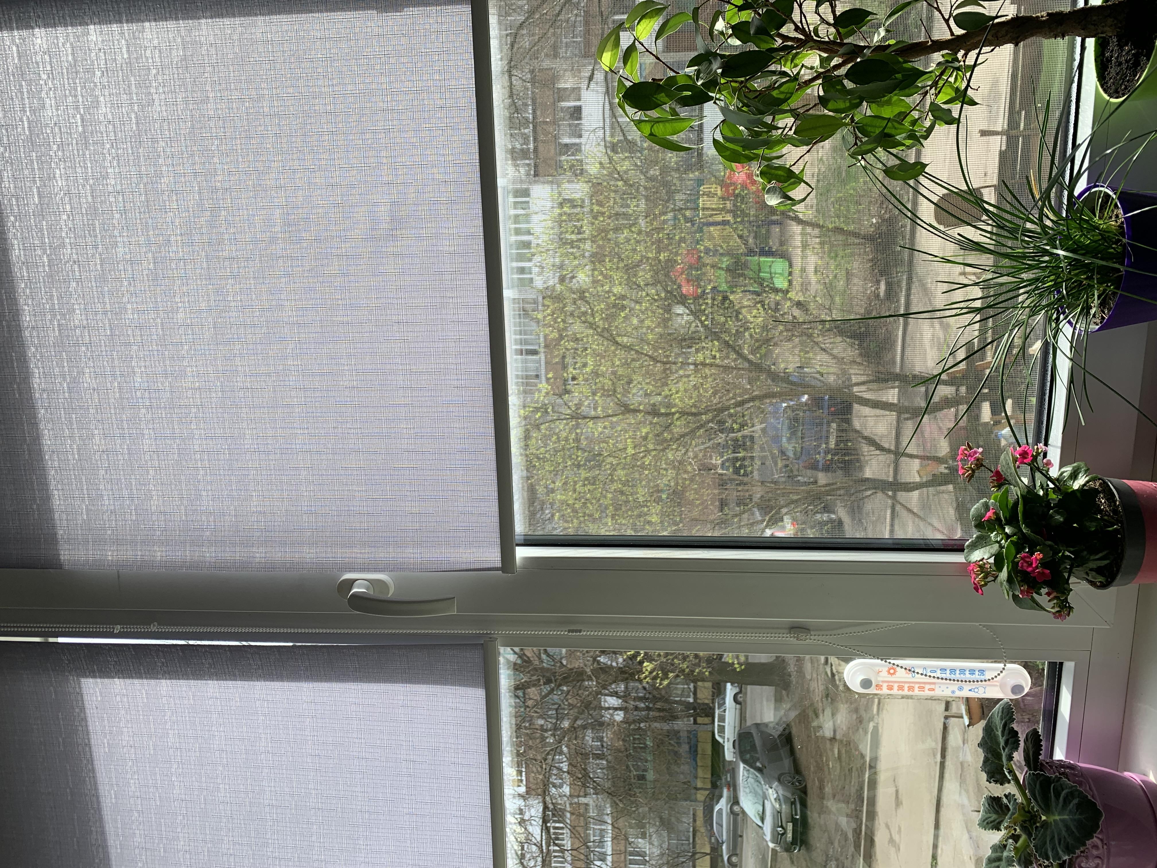 Ролета тканинна NewTex Льон LUX 71х165 см Сірий (7436) у реальних умовах використання від покупця Ольга.