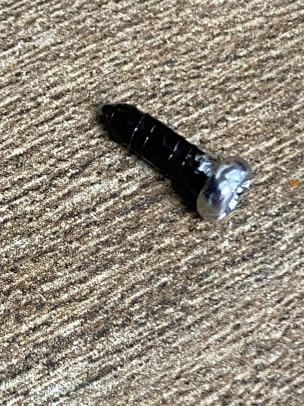 Гриль-барбекю Tefal OptiGrill Initial GC706D34 в реальных условиях использования от пользователя олександр.