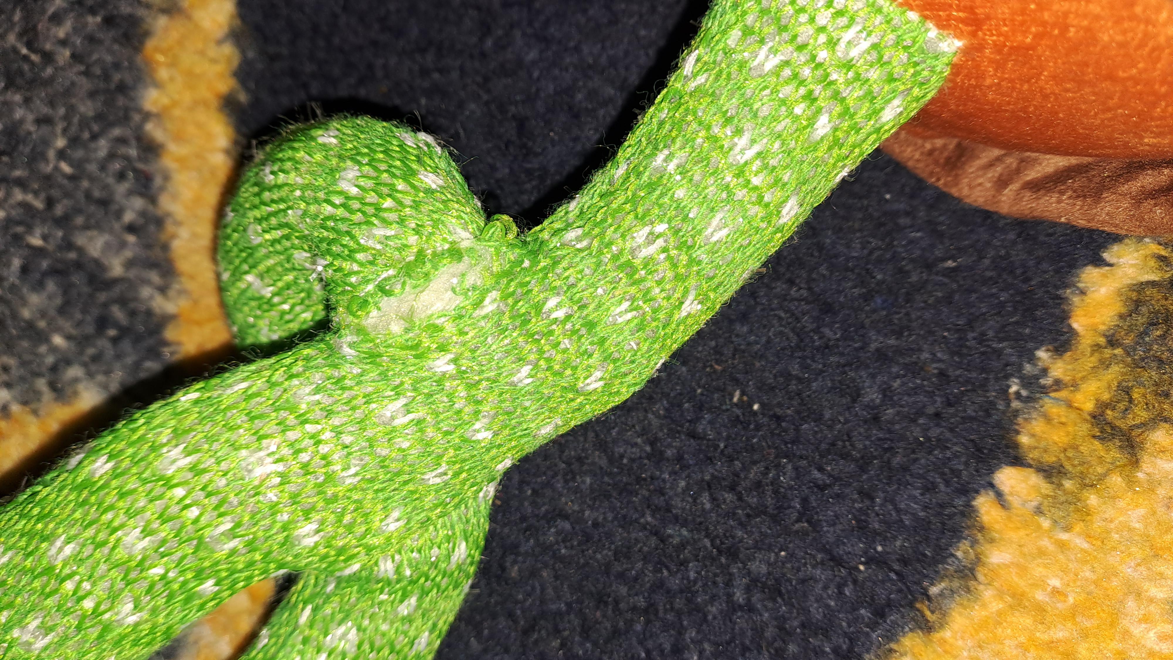 Фото: Іграшка Dancing Cactus 120 пісень з підсвічуванням від акумулятора, надіслане покупцем Інна Іграшка Dancing Cactus 120 пісень з підсвічуванням від акумулятора у реальних умовах використання від покупця Інна.