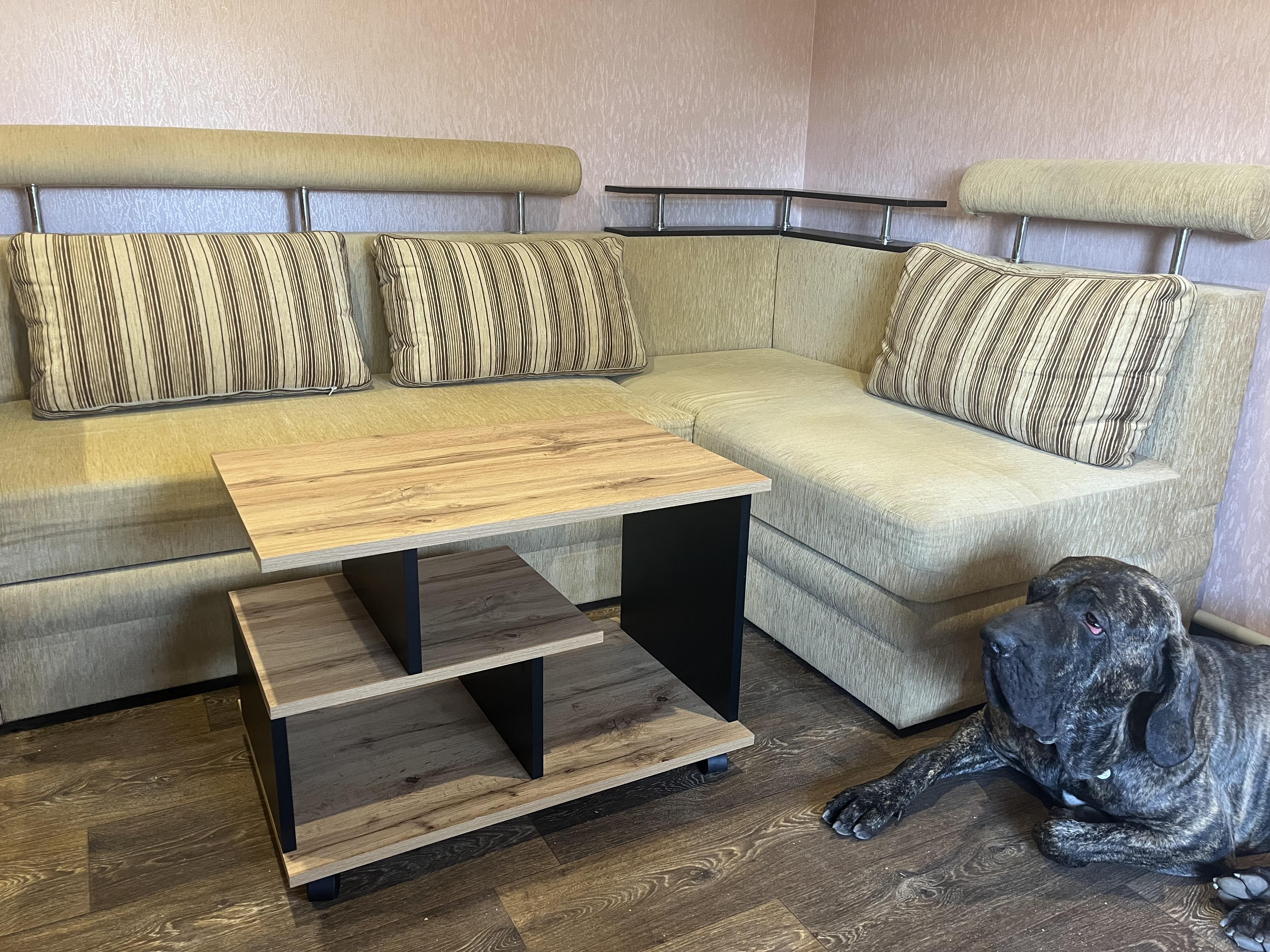 Журнальний стіл Тандем Дуб аппалачі у реальних умовах використання від покупця Ганна.