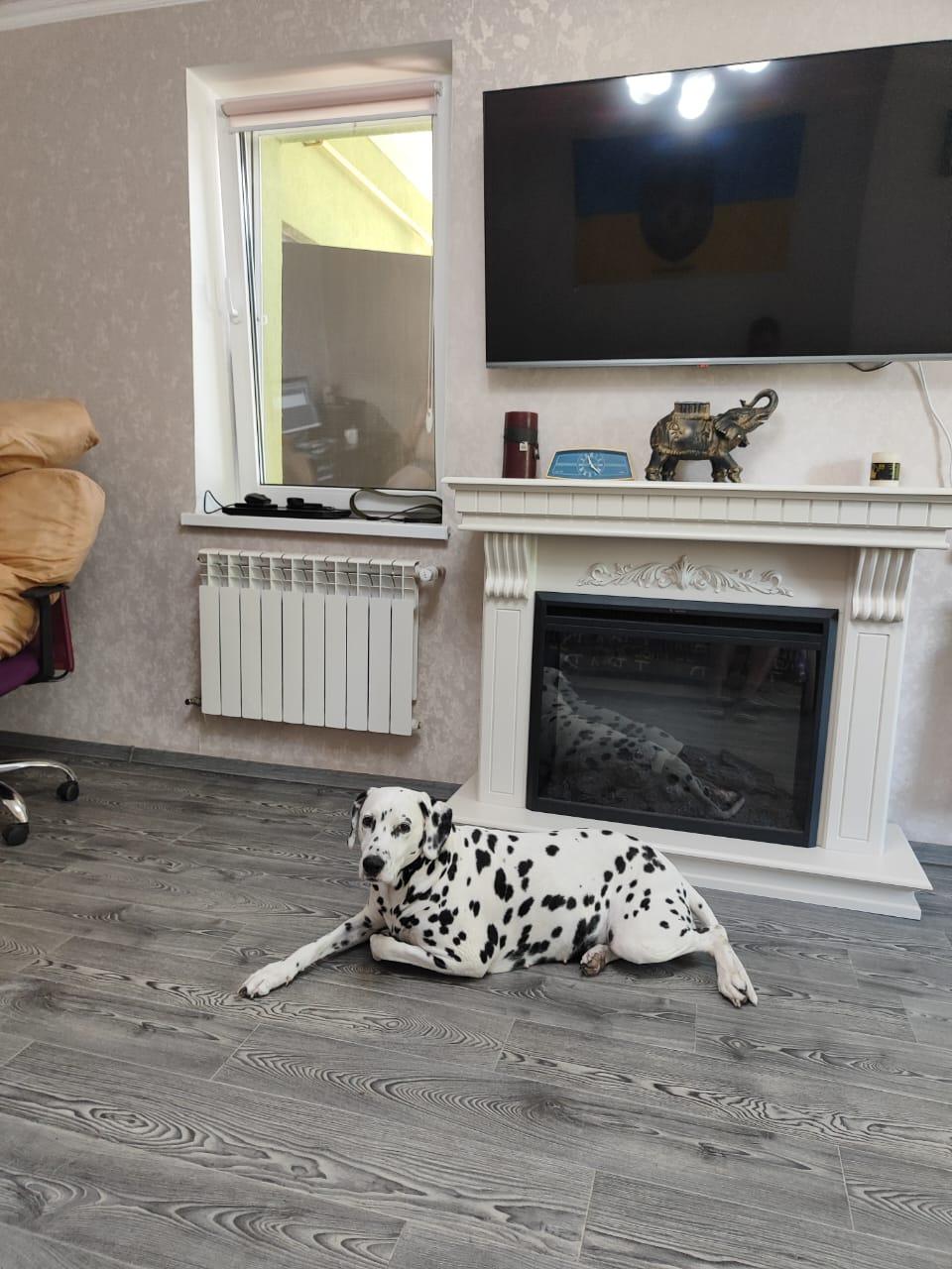 Камінокомплект ASTRA FLAME Модена 151 у реальних умовах використання від покупця Сергій.