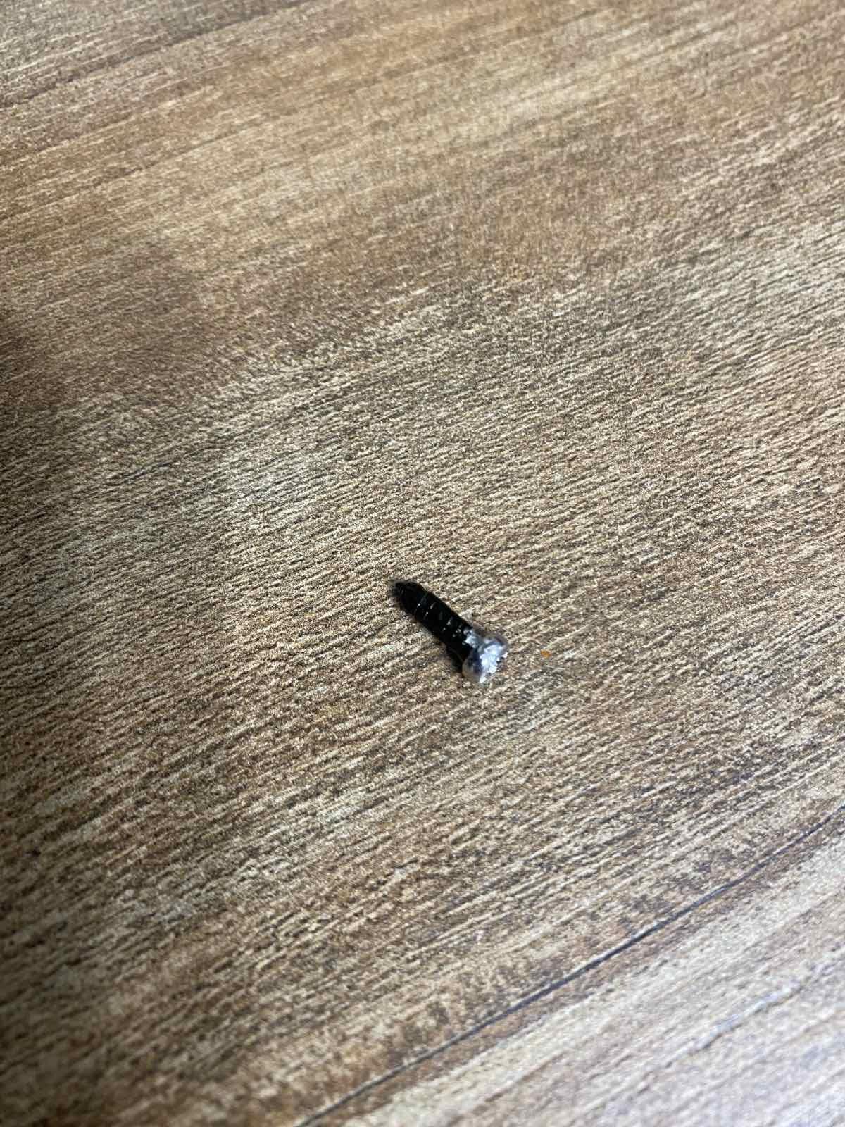 Гриль-барбекю Tefal OptiGrill Initial GC706D34 в реальных условиях использования от пользователя олександр.