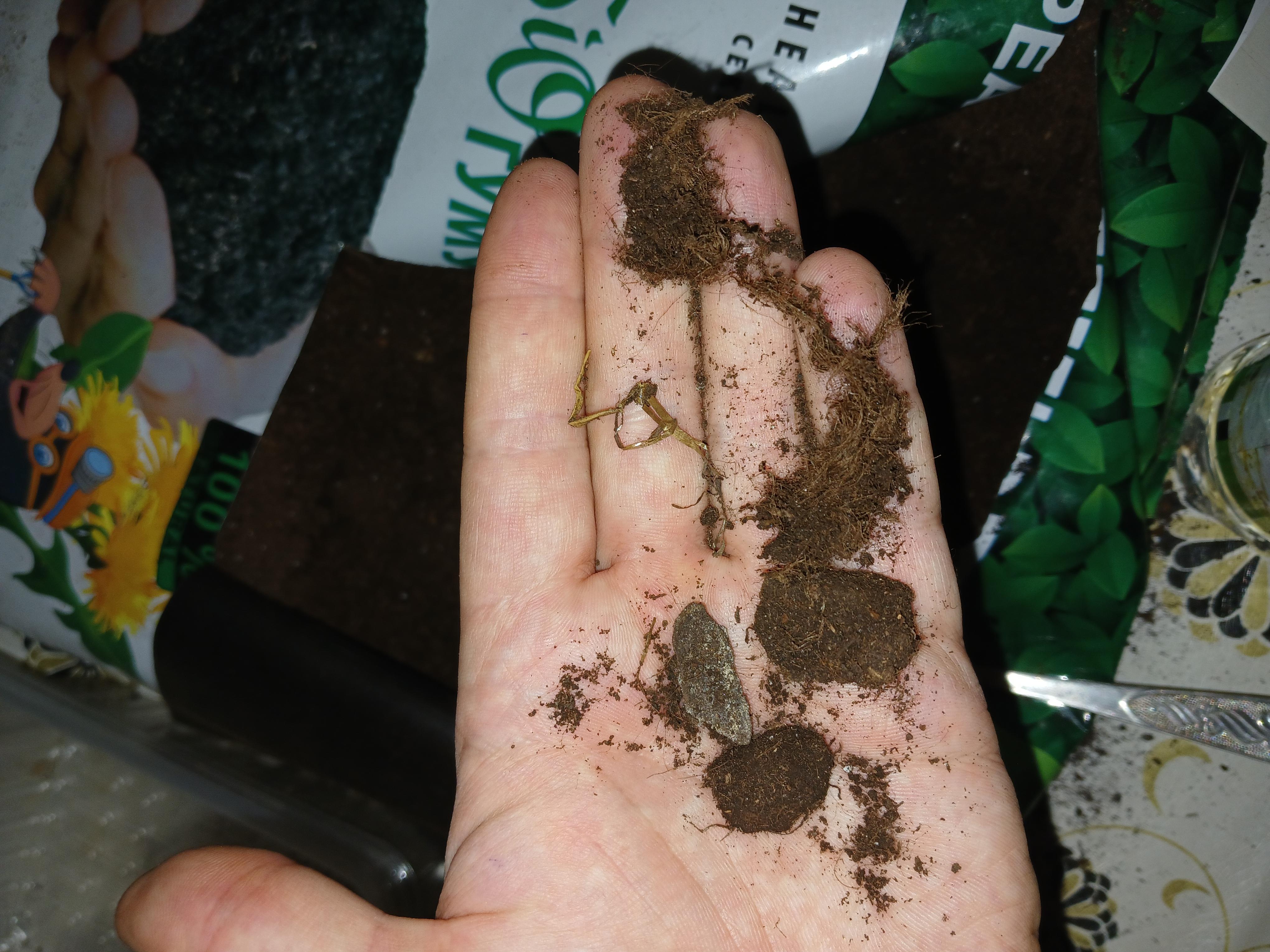 Субстрат торфяной PEATFIELD рассада 20л в реальных условиях использования от пользователя Віктор.