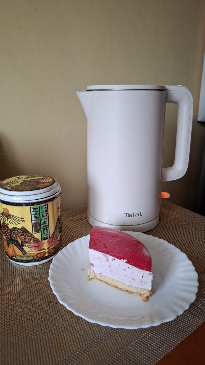 Электрочайник Tefal Thermo Protect KO140BE0 в реальных условиях использования от пользователя Дарина Коваль.