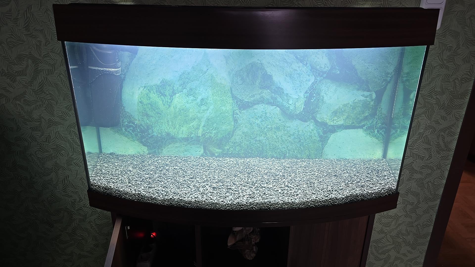 Грунт Aquael базальтовый черный 2-4 мм 2 кг 114040 в реальных условиях использования от покупателя Светлана.