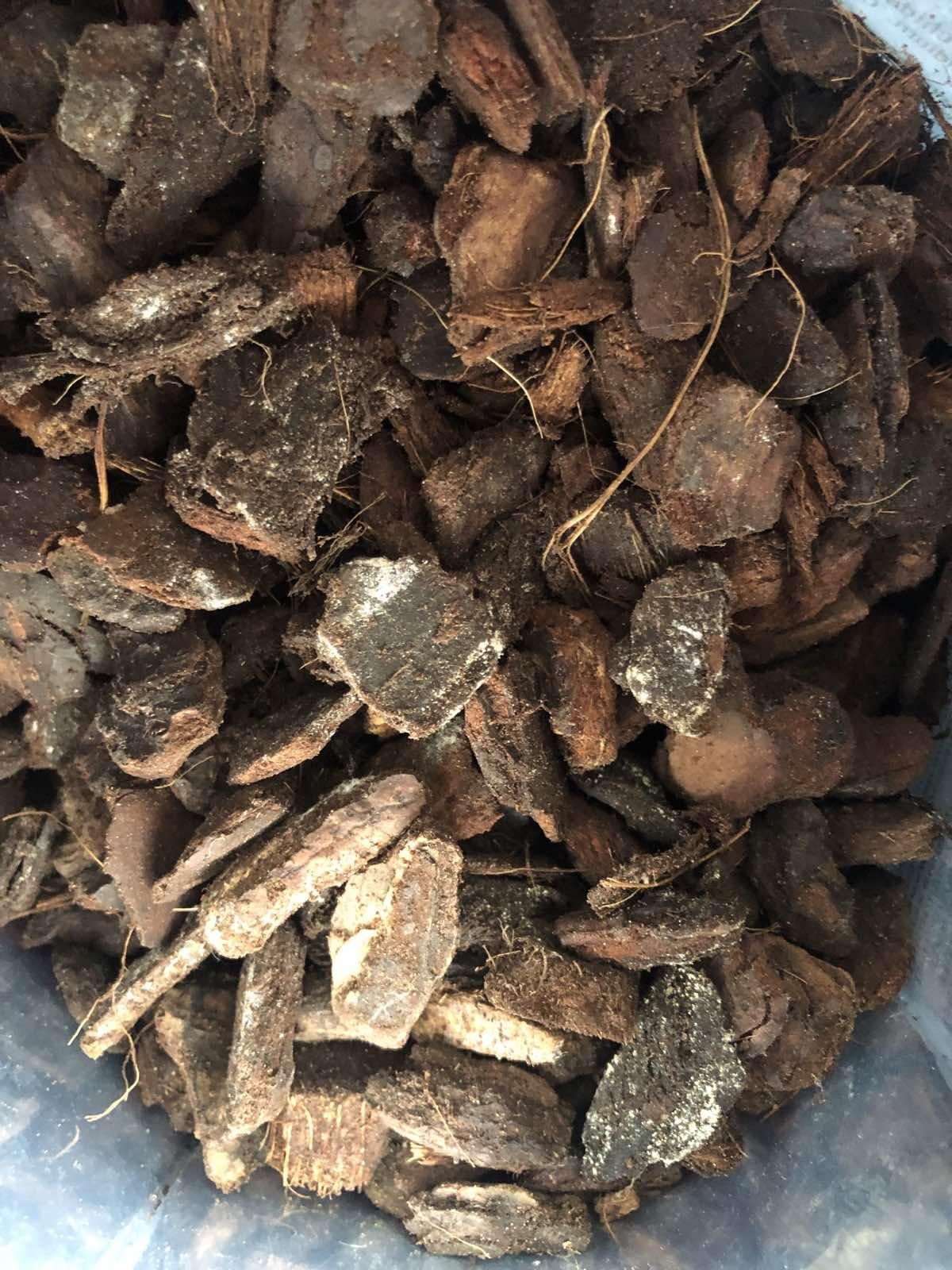 Субстрат Royal Mix Пиния для орхидей 3 л в реальных условиях использования от пользователя Олена.