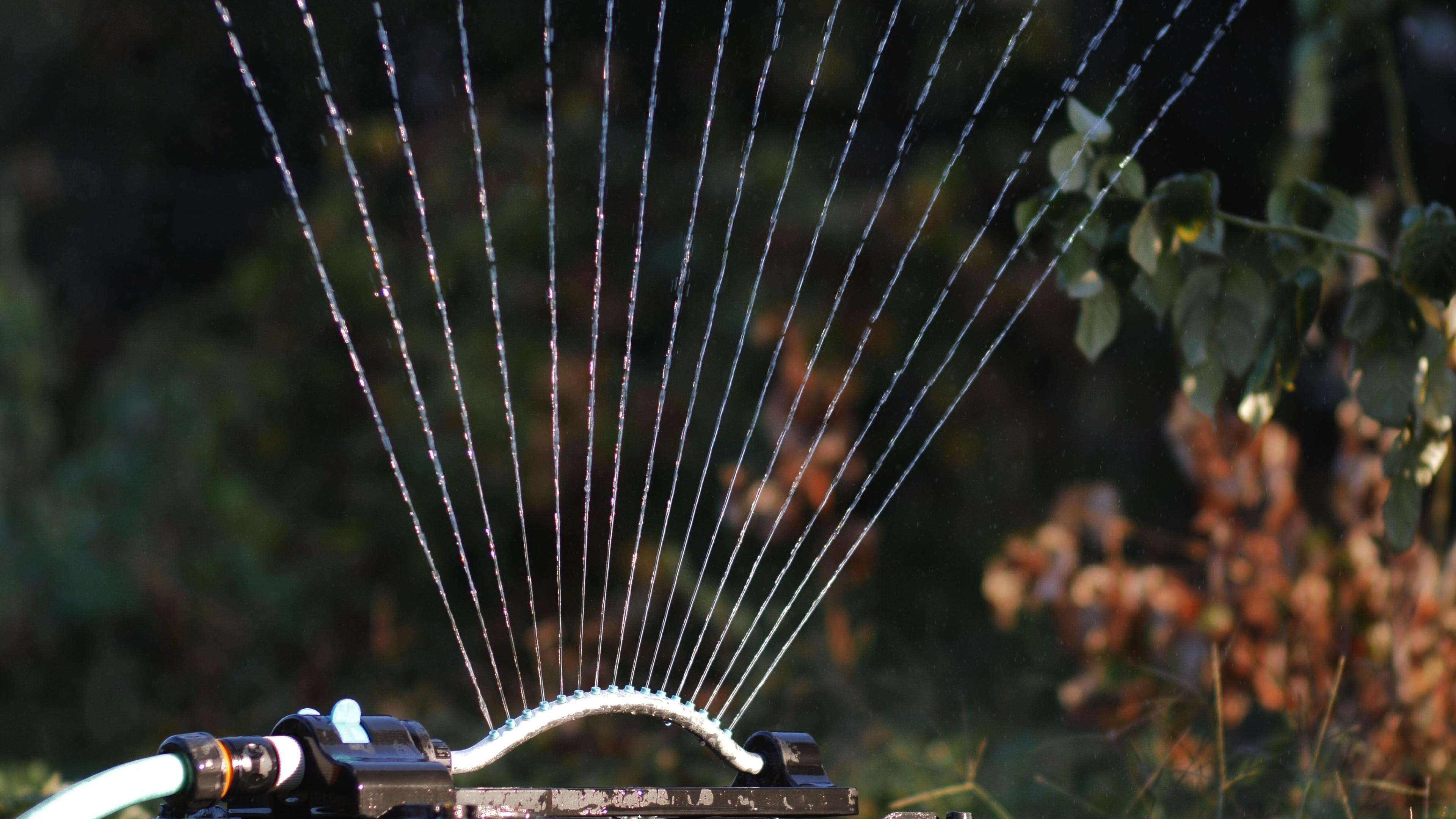 Дождеватель Presto-PS осциллирующий Bravo (7821) в реальных условиях использования от покупателя Владислав.