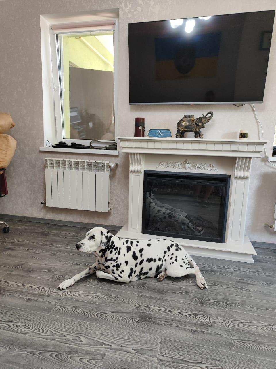 Камінокомплект ASTRA FLAME Модена 151 у реальних умовах використання від покупця Сергій.