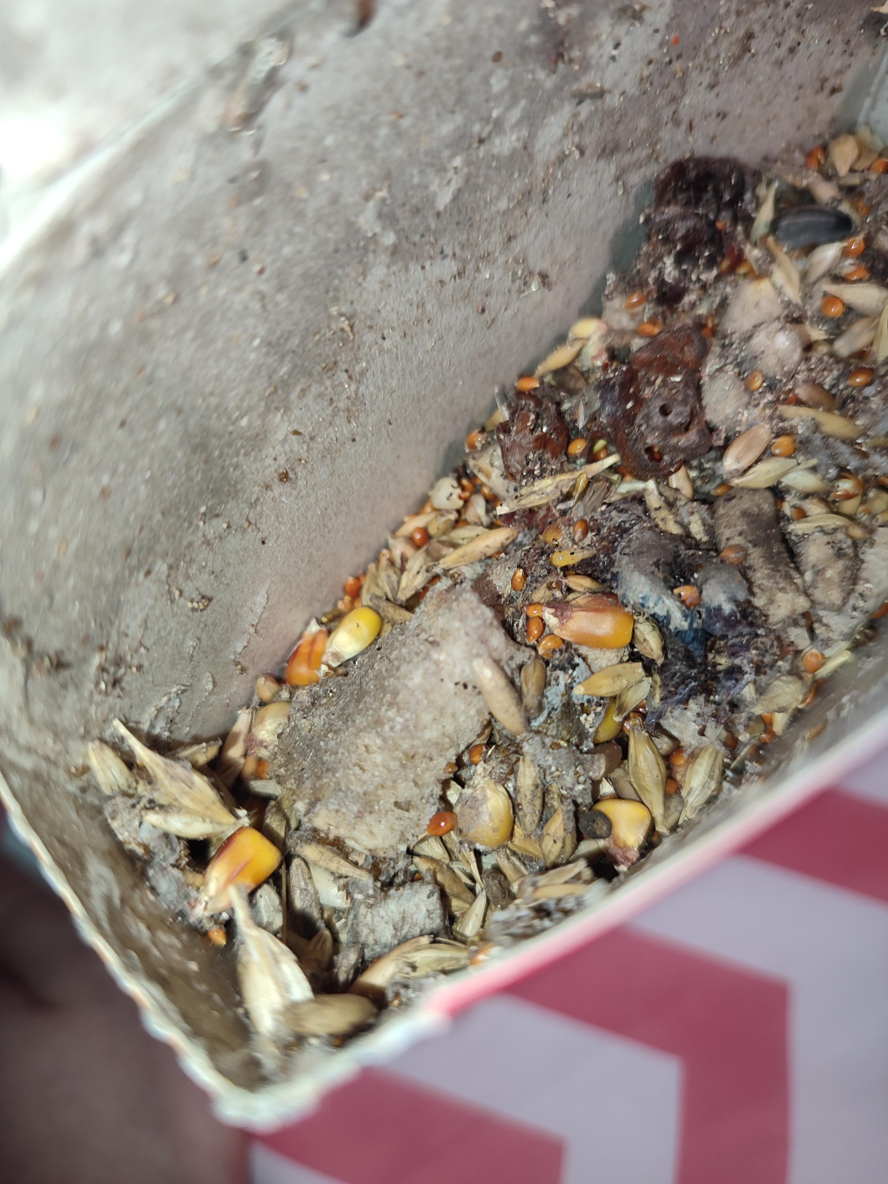 Корм Topsi Супер меню 510 г в реальных условиях использования от пользователя Тетяна.