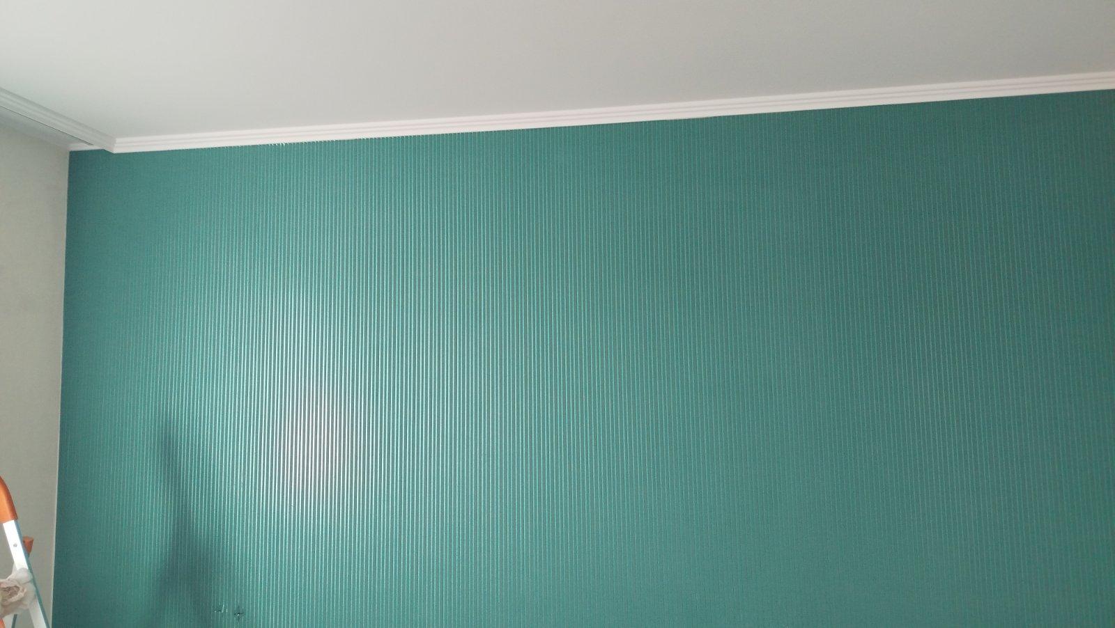 Шпалери Bravo тип 538 84014BR80 у реальних умовах використання від покупця Евгений.