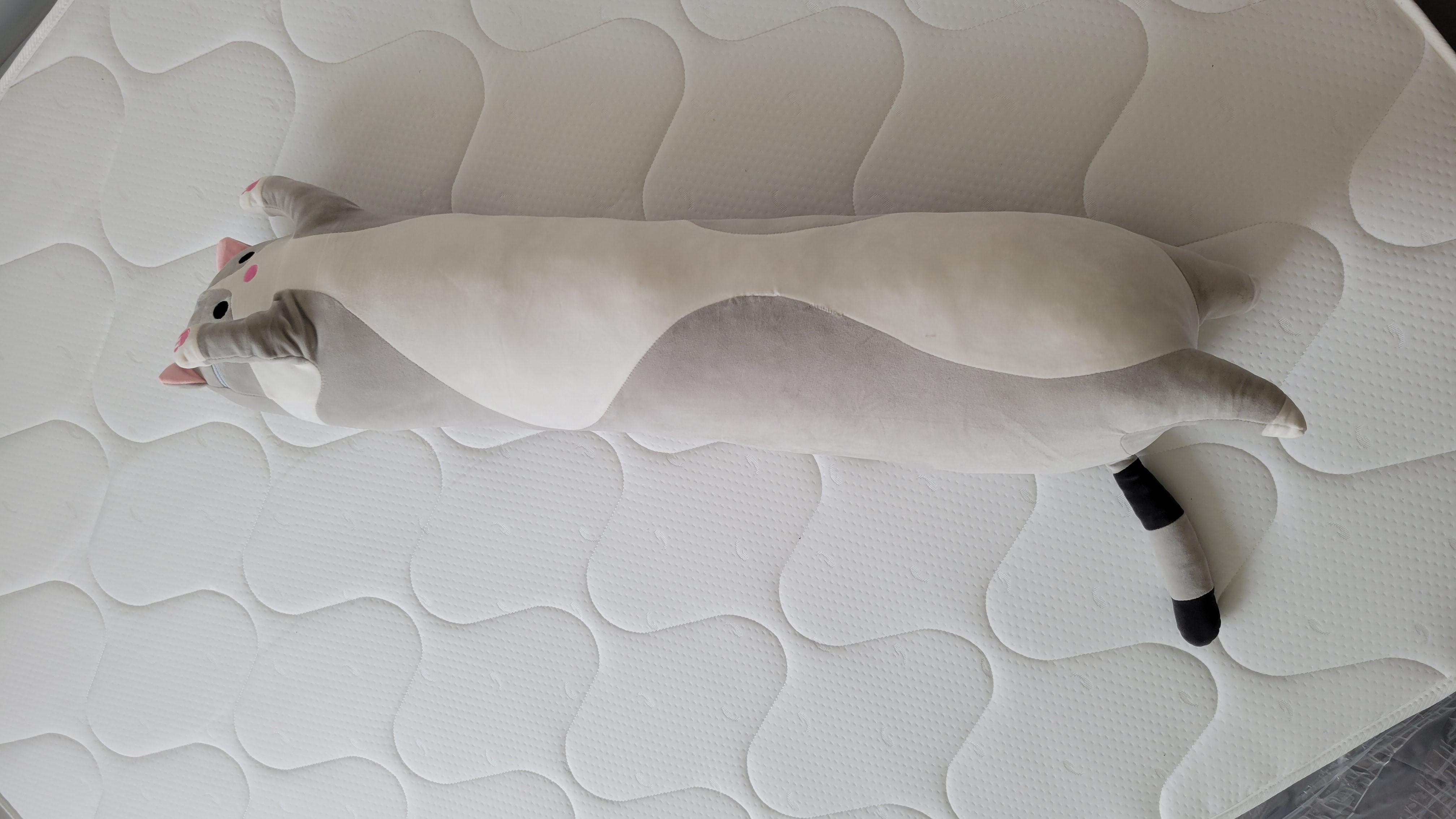 Мягкая игрушка-подушка Длинный кот обнимашка 110 см Серый (b4cbe70e) в реальных условиях использования от пользователя Ольга.