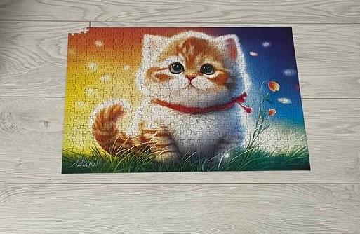 Пазлы Trefl UFT Очаровательный котенок 500 элементов 37463 в реальных условиях использования от пользователя Шибанов.