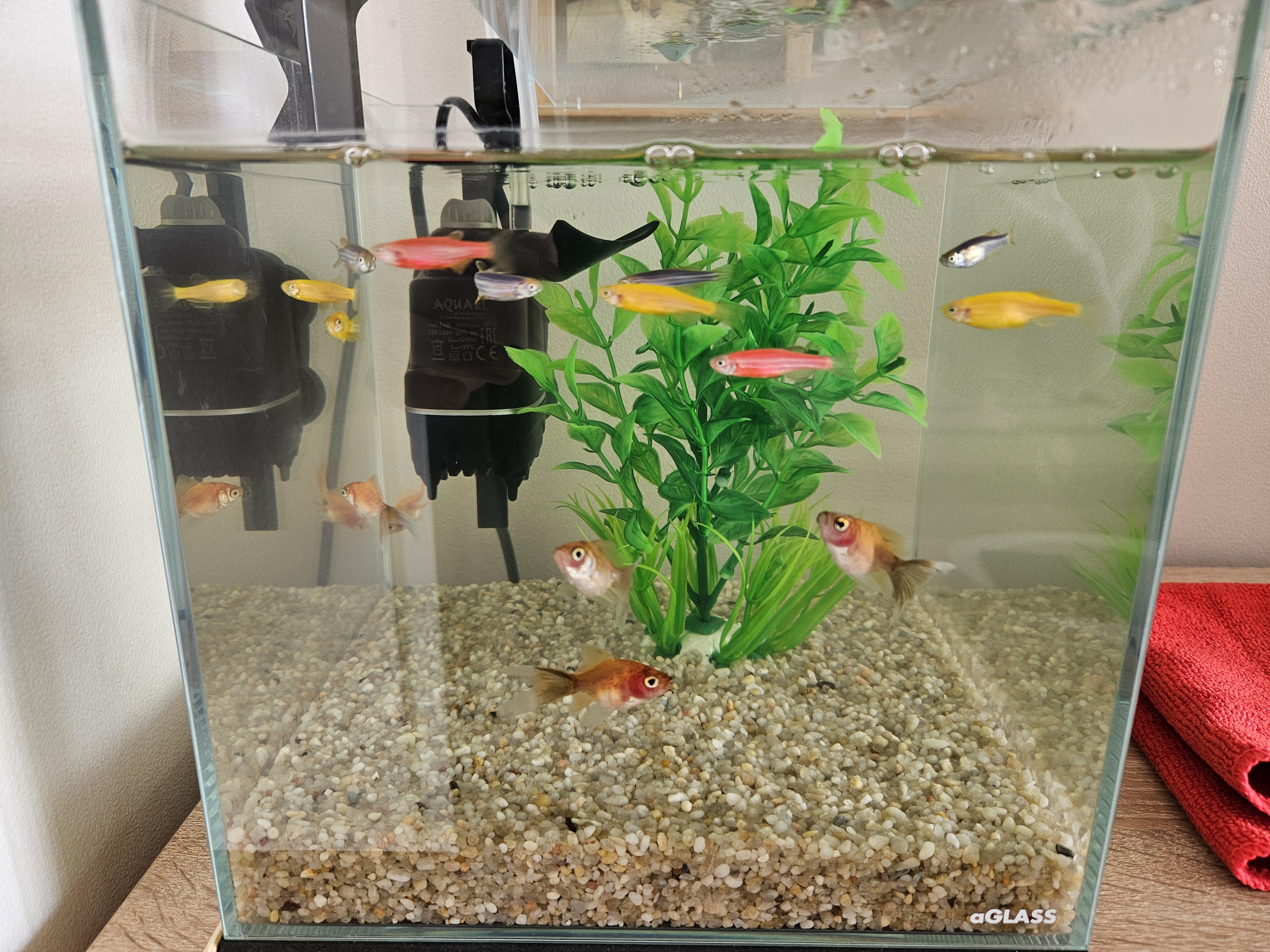 Песок для аквариума Aquael кварц 1,4-2,5 мм 2 кг в реальных условиях использования от покупателя Володимир.