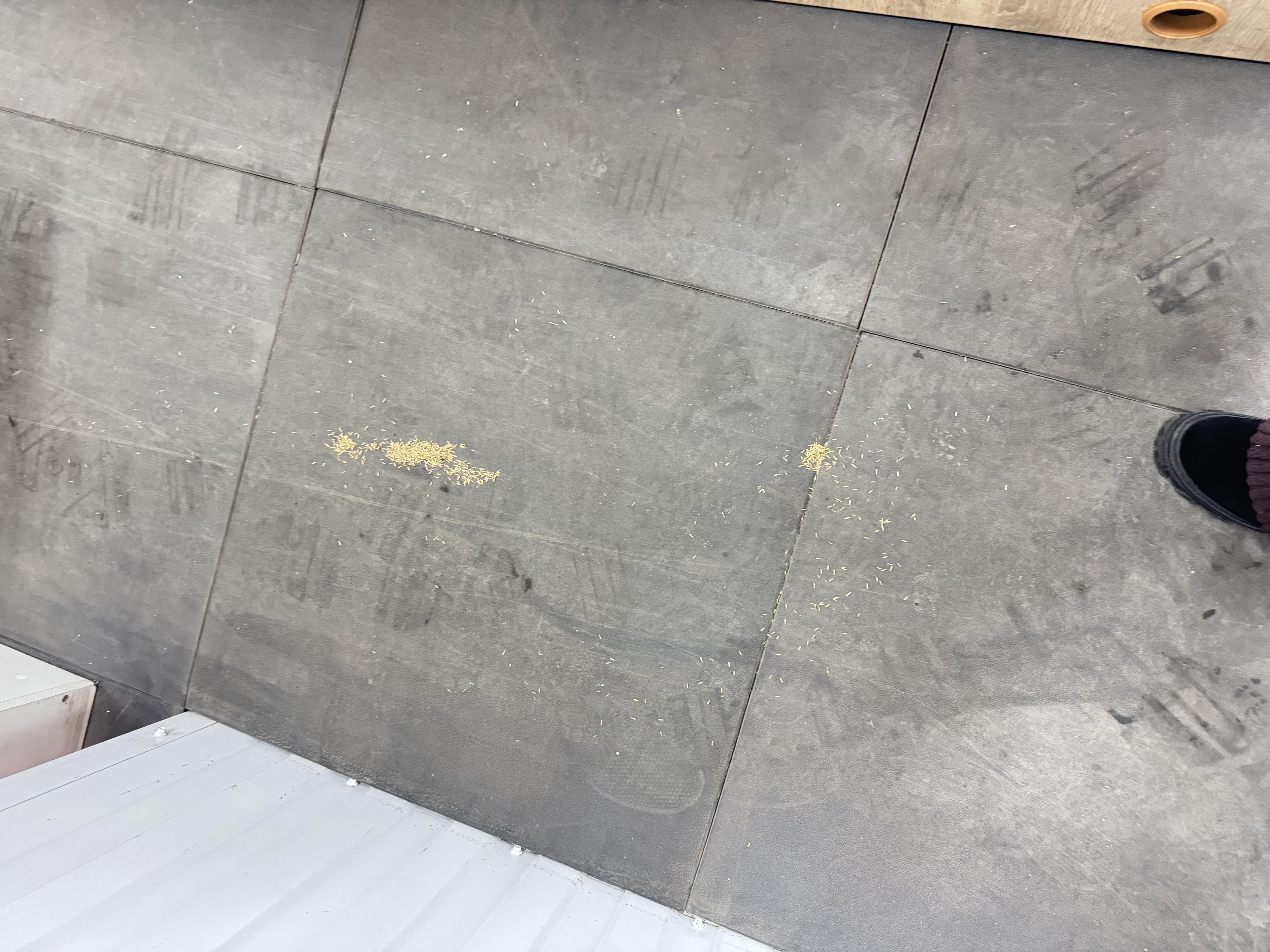 Семена для газона Трави України для придорожного озеленения 20 кг (459) в реальных условиях использования от покупателя Оксана.