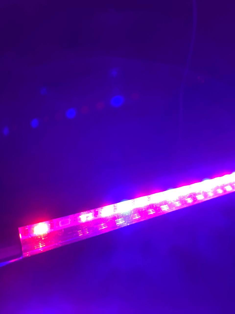 Фитолампа для растений LED 2в1 8 режимов яркости с таймером (VP-533) в реальных условиях использования от покупателя Михайло.
